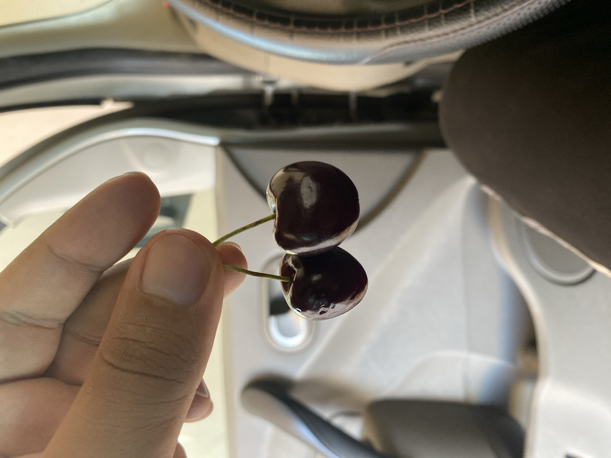 A pair of dark red cherries, each about 2-3 centimeters in diameter, are held by a person's thumb and index finger. The cherries have smooth, glossy skin and are attached by thin green stems. They hang in front of a light-colored, textured surface that appears to be the interior of a vehicle, likely a car door panel with a black armrest. The background is blurred, showing the gray interior of a vehicle, including part of a steering wheel on the right side. The lighting suggests it is daytime, possibly with natural light filtering in from outside. The focus is on the cherries, with the hand and car interior providing context for their display. The scene is a close-up, intimate shot of the cherries.