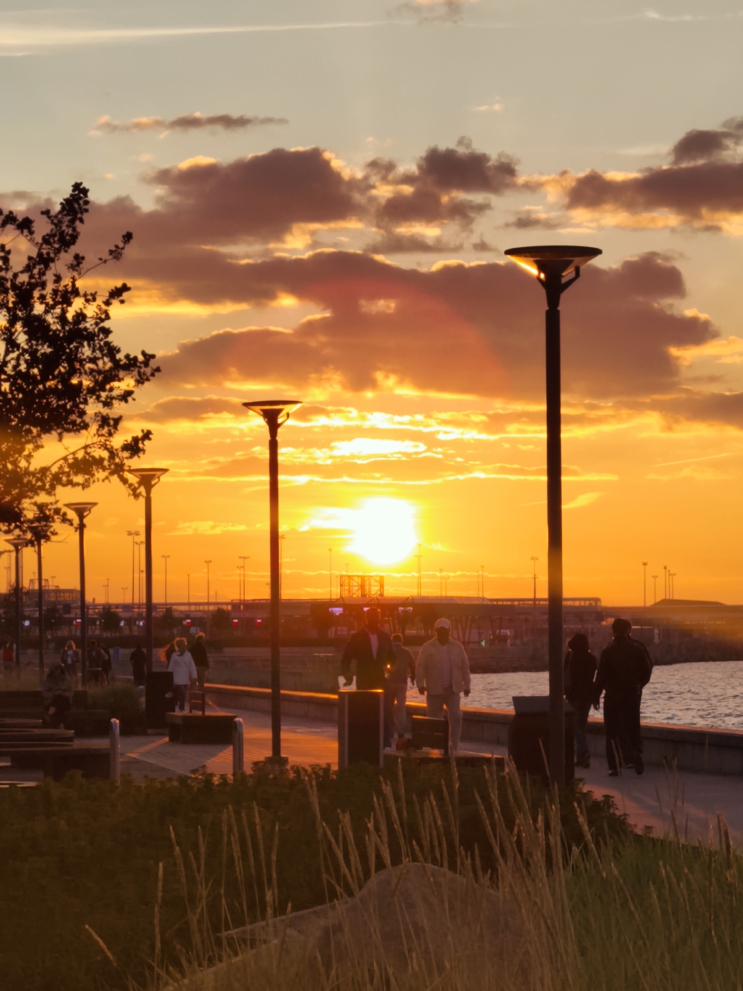 This is a photograph taken at sunset in Tallinn, Estonia, likely during the summer months given the warm light and people out walking. The scene depicts a waterfront promenade where several people are strolling along a paved walkway. The sun is low on the horizon, casting a warm, golden glow across the sky and illuminating the clouds with vibrant oranges and yellows.
In the foreground, tall grasses and some low-lying vegetation are visible, catching the sunset light. The walkway itself is lined with modern-style lampposts, some of which are lit, casting long shadows. Several people are walking in both directions along the path. On the left side of the walkway, there's a tree with dark foliage silhouetted against the bright sky.
Further along the promenade, there appears to be a railing or low wall separating the walkway from a body of water on the right. In the background, structures are visible, possibly part of a port or industrial area, with more lampposts and some illuminated buildings. The overall impression is of a peaceful evening scene in a public outdoor space.