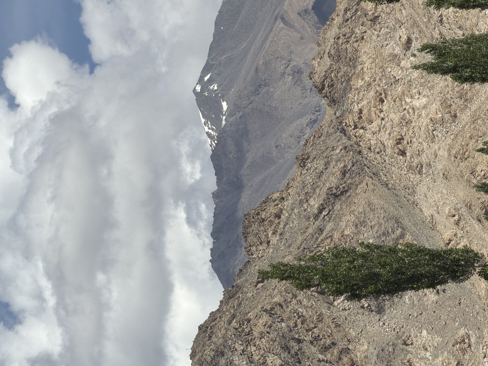 The image depicts a mountainous landscape with rugged, rocky terrain. In the foreground, a tall, slender green tree stands prominently. Further back, the mountains are characterized by their dry, stony slopes, with some patches of snow visible on the highest peak in the distance. The sky above is filled with a mixture of white and gray clouds, with some patches of blue sky showing through. The scene appears to be an arid, high-altitude environment, likely in the region of Leh, India, given the characteristic landscape and vegetation.