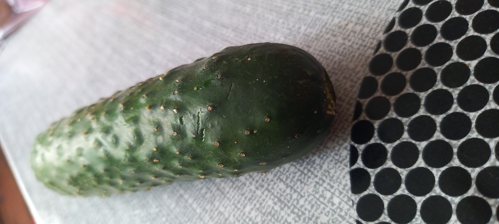 A single, dark green cucumber, characterized by an elongated, slightly curved form and a textured skin covered with numerous small, raised tubercles, is positioned diagonally on a light-colored, patterned surface. Remnants of dried, brownish prickles are visible on some of the tubercles. The cucumber is intact and appears fresh, with minor variations in skin tone. Below the cucumber, and occupying the lower portion of the frame, is a distinct object featuring a pattern of uniformly spaced, solid black circles against a lighter background that exhibits a similar geometric texture to the surface supporting the cucumber. The scene is brightly and evenly lit. No individuals or actions are depicted. The specific location within the city of Kryvyi Rih, Ukraine, cannot be determined from the visual information presented in this image.