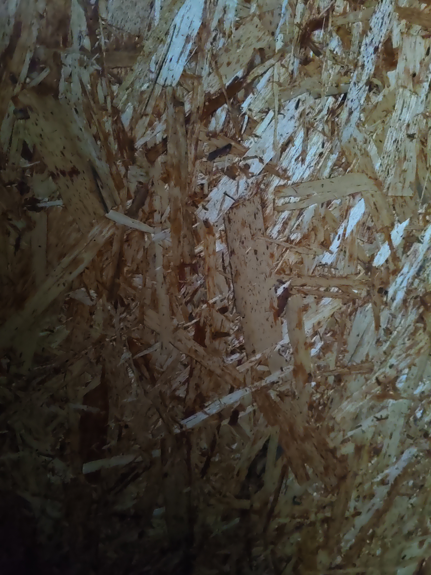 The image shows a close-up of Oriented Strand Board (OSB), a type of engineered wood product. The OSB is composed of compressed wooden chips and strands, giving it a textured and layered appearance. The color palette consists primarily of light brown, beige, and white, with some darker speckles and shadows. The lighting is uneven, with some areas appearing brighter than others, suggesting a light source from the side or above. There are no people, animals, or specific environmental features visible that would allow for a determination of its location within Platoshino, Russia, or any other city.