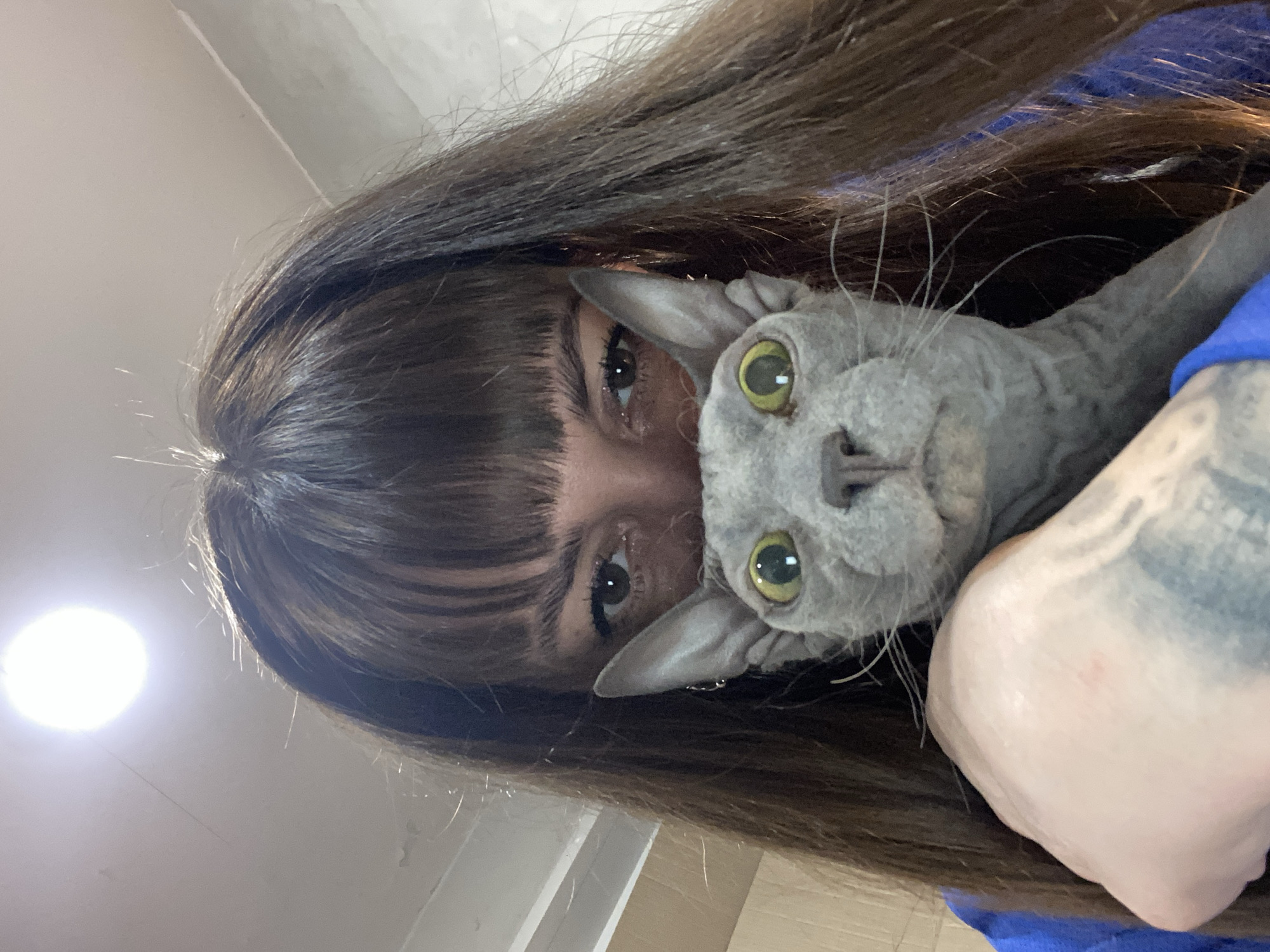 A person with long brown hair and bangs is holding a gray hairless cat. The person's eyes are visible behind the cat. The cat is looking at the camera with yellow-green eyes. The person is wearing a blue garment, with a partial tattoo visible on their arm. The background is unclear, suggesting an indoor setting. The location cannot be determined with the given information.