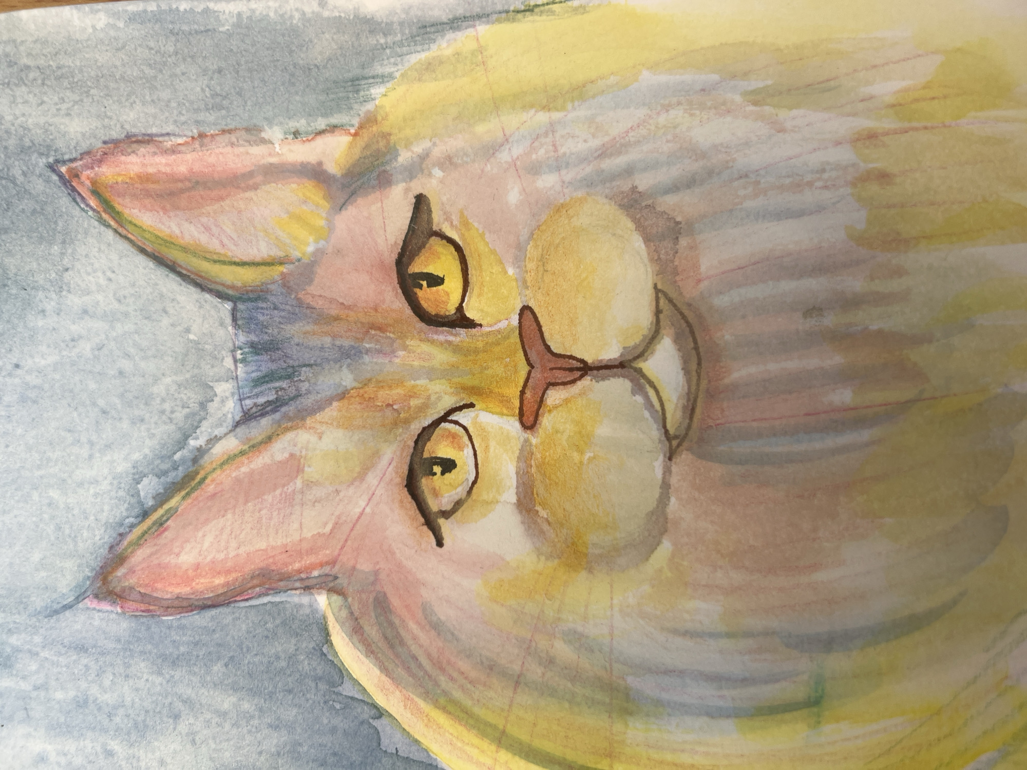 A watercolor painting depicts the face of a cat. The cat has light fur in shades of yellow, white, pink, and brown. Its eyes are yellow with dark pupils. The background is a light blue wash. The image is rotated, so the cat appears to be looking down from the top of the frame. The artwork is not specifically identifiable as being from or depicting Baošići, Montenegro.