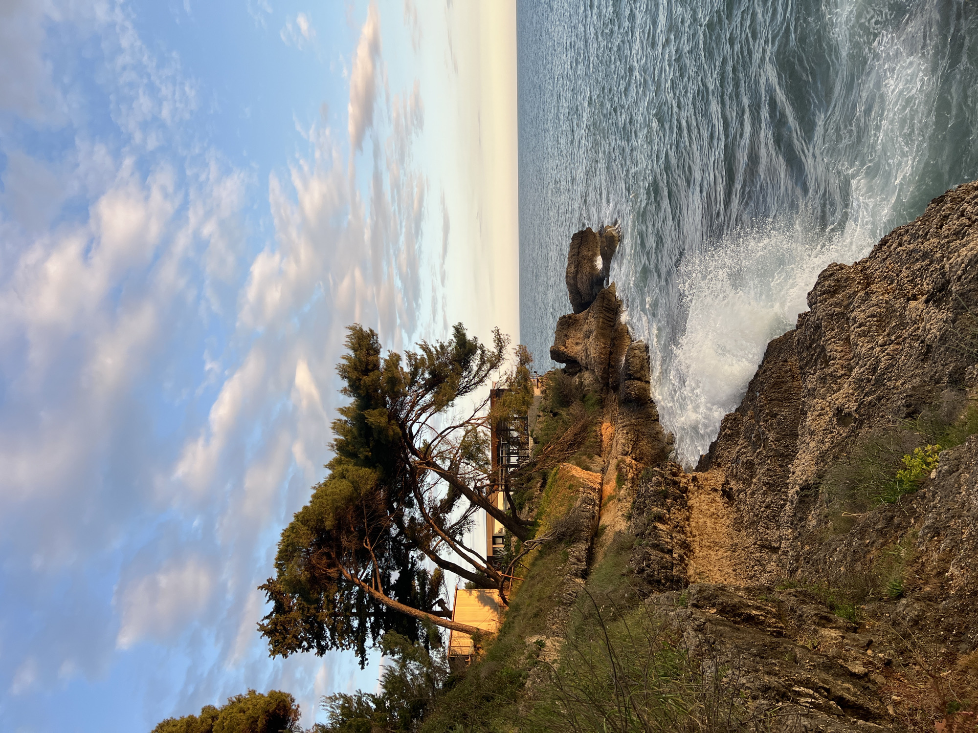 The image presents a coastal scene in Ulcinj - Ulqin, Montenegro, featuring a rugged coastline. A group of pine trees stands on a rocky cliff, leaning due to the wind's force. Below, the cliff drops steeply to the sea, where waves crash against the rocks. The sky is partly cloudy, with blue patches visible. The light suggests either early morning or late afternoon. There is a structure visible on the cliff amidst the trees.