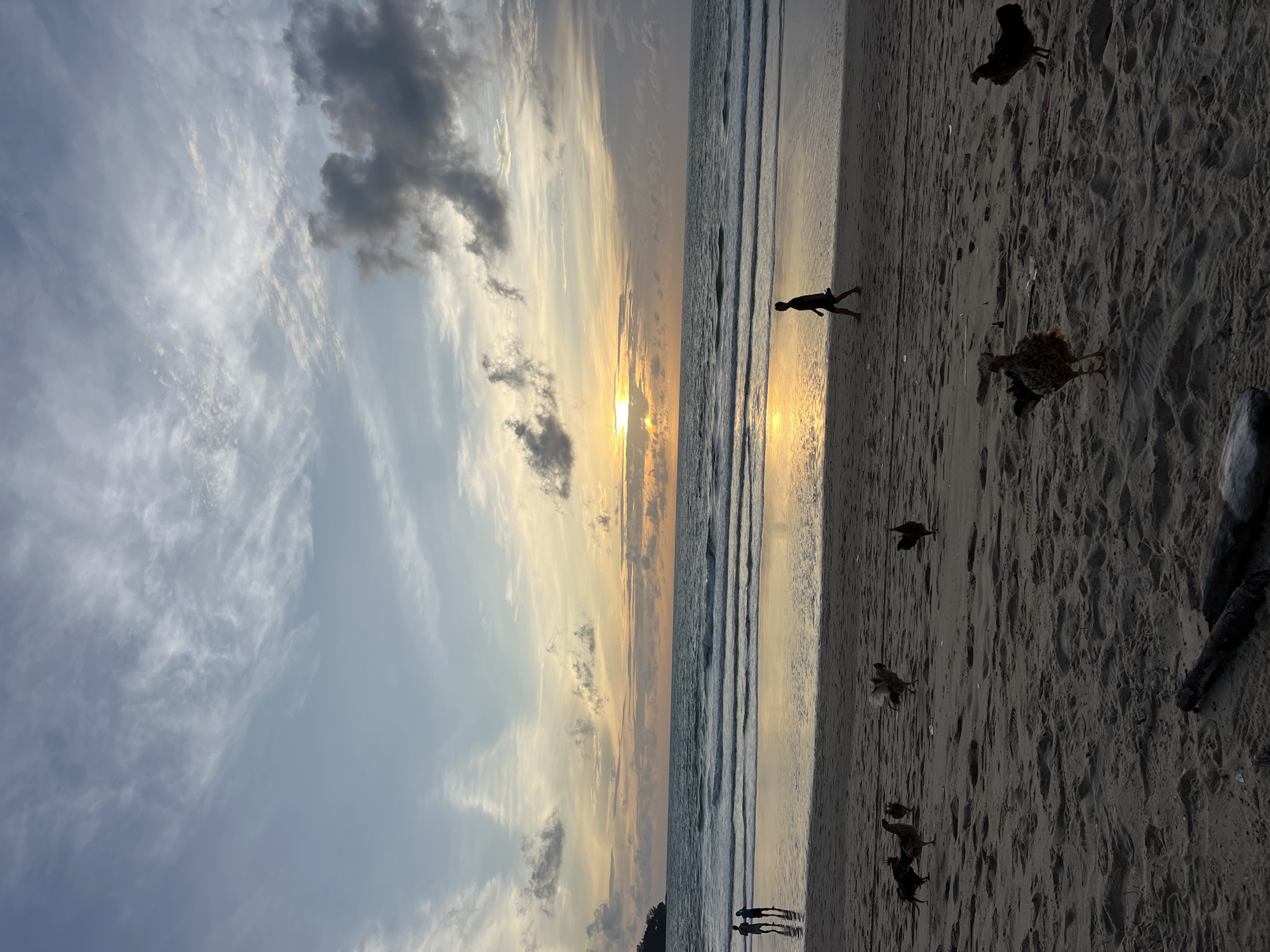 This is a horizontal, medium-shot photograph taken at the beach in Choeng Thale, Thailand, at sunset. The sun, a bright orange disc, is setting over the ocean, casting a golden-yellow glow across the water and the sky. The sky is filled with a mix of light and dark clouds, with wispy cirrus clouds streaking across the top of the frame. The ocean is calm, with small waves rolling onto the shore.
On the beach, a single person is walking from right to left in the middle ground. In the foreground, several chickens are scattered across the sand. Two people are standing on the wet sand near the water's edge in the far left of the frame, facing the ocean. The sand is wet near the water and dry further up the beach. There is some driftwood in the bottom of the frame.