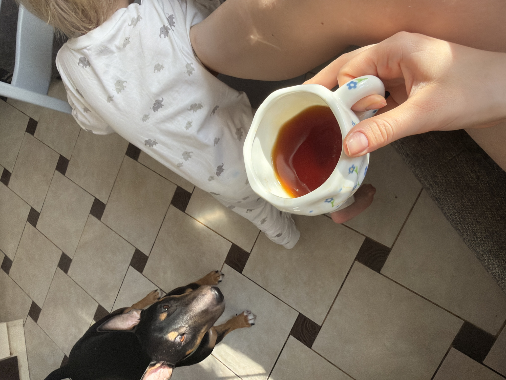 A top-down shot depicts a domestic scene. A person holds a floral-patterned mug filled with a dark liquid, likely tea or coffee. A young child wearing pajamas with an elephant print sits on the floor. A black and brown dog gazes upward. The setting is a tiled floor with alternating light and dark tiles. The location is not discernible from the image.
