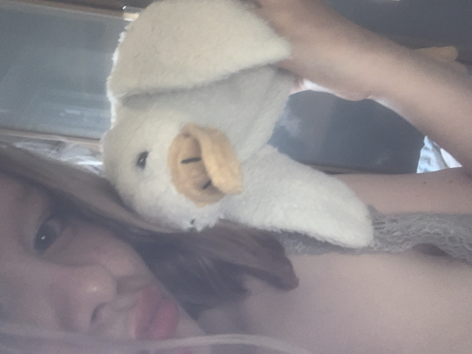 This media file presents a close-up image of a person lying down, engaging with a plush toy. In the lower-left quadrant, a female subject is partially visible, with her face turned towards the camera. She has long hair, possibly dark blonde or light brown, and her eye shows a distinct catchlight. Her lips are slightly parted or pursed, possibly with a hint of light-colored lipstick. The upper part of her chest and shoulder are visible, adorned with a light-colored, possibly lace or crocheted, fabric.
A white, fluffy plush toy, resembling a duck or a small bird with a yellow-orange beak and small black eyes, is held up by a human arm (likely belonging to the subject) in the upper-center of the frame. The arm appears lightly tanned. The background is out of focus, displaying muted grey and blue tones, suggesting an indoor setting with natural, soft lighting, perhaps from a window, indicating daytime. The atmosphere appears relaxed and intimate, possibly capturing a playful moment or a selfie. There is no visible text within the image. The specific location is an unknown indoor environment.