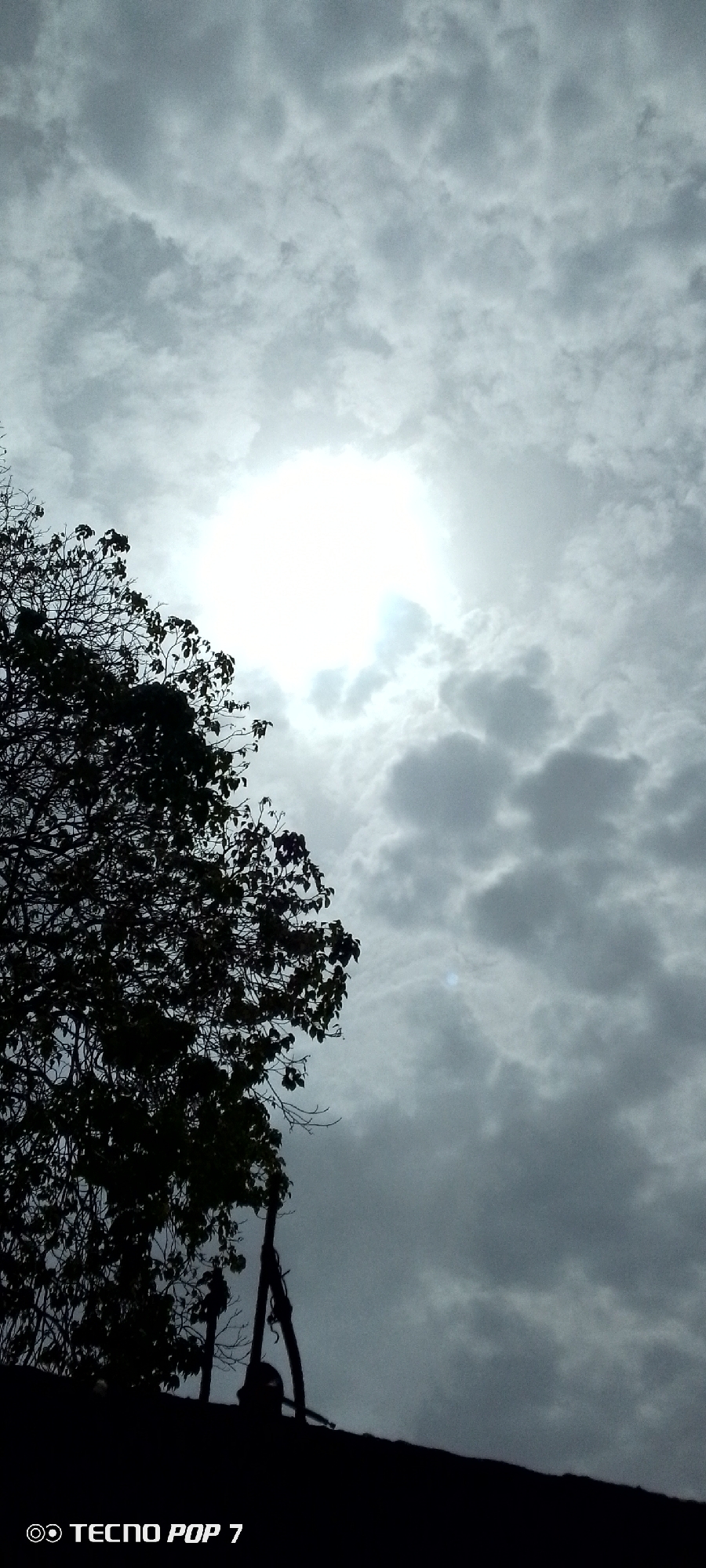The image shows a daytime outdoor scene in Altagracia, Venezuela. A large tree with dense leaves is silhouetted on the left side. The sky is overcast with various cloud formations and a bright sun is obscured by the clouds in the center of the image. The lower portion of the image includes a dark area, possibly a rooftop or another structure. A tripod or similar structure is partially visible near the bottom left. The text "TECNO POP 7" is displayed in the bottom left corner. No people are visible.