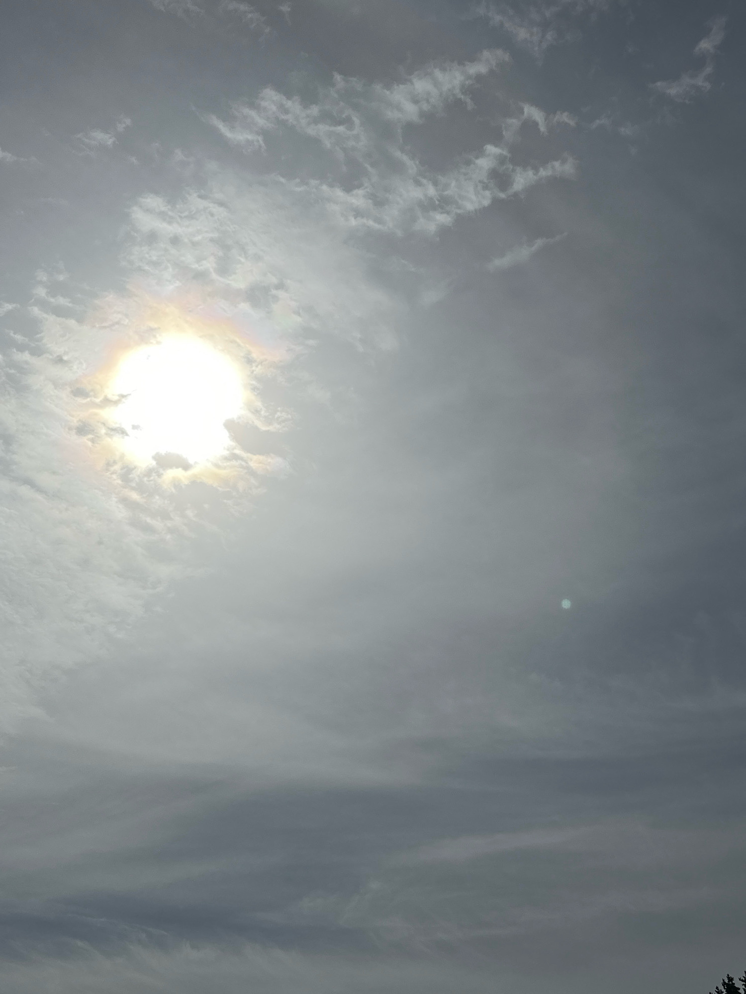 A bright, overcast sky dominates the image, with the sun peeking through, creating a halo effect. Wispy clouds are scattered across the frame, some thin and feathery, others more dense and textured. The overall lighting is diffused, suggesting a cloudy or hazy day. In the distance, a few dark tree tops are visible at the bottom edge of the frame, indicating a natural landscape or park setting. No people, animals, or man-made structures are discernible in the image. The scene appears to be located in Нарацкі сельскі Савет, Belarus, given the context.