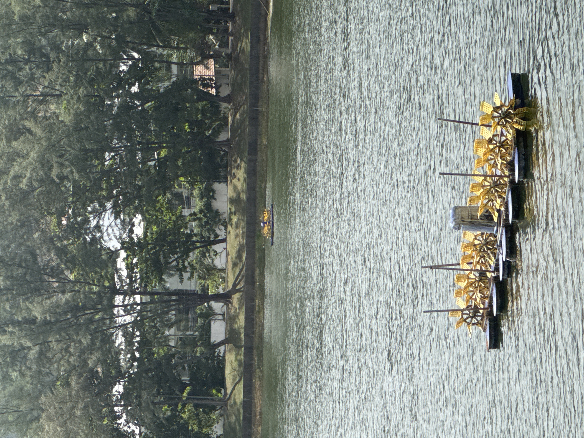 The image depicts a serene body of water, likely a lake or a large pond, in Karon, Thailand. In the foreground, a pontoon-like structure with multiple paddle wheels, commonly known as a water aerator, floats on the surface. These aerators are typically used to improve water quality by increasing dissolved oxygen. The water is a murky green color and shows ripples, indicating gentle movement. In the middle distance, another smaller pontoon structure with paddle wheels is visible, suggesting multiple aerators are in use in this location. The background reveals a lush green shoreline lined with dense trees, primarily tall, slender pines. Beyond the trees, hints of buildings and structures are visible, including a small building with a terracotta-colored roof. The overall impression is one of a natural environment integrated with human infrastructure for water management. There are no people or animals visible in the image. The lighting suggests it is daytime, with sunlight reflecting off the water's surface.