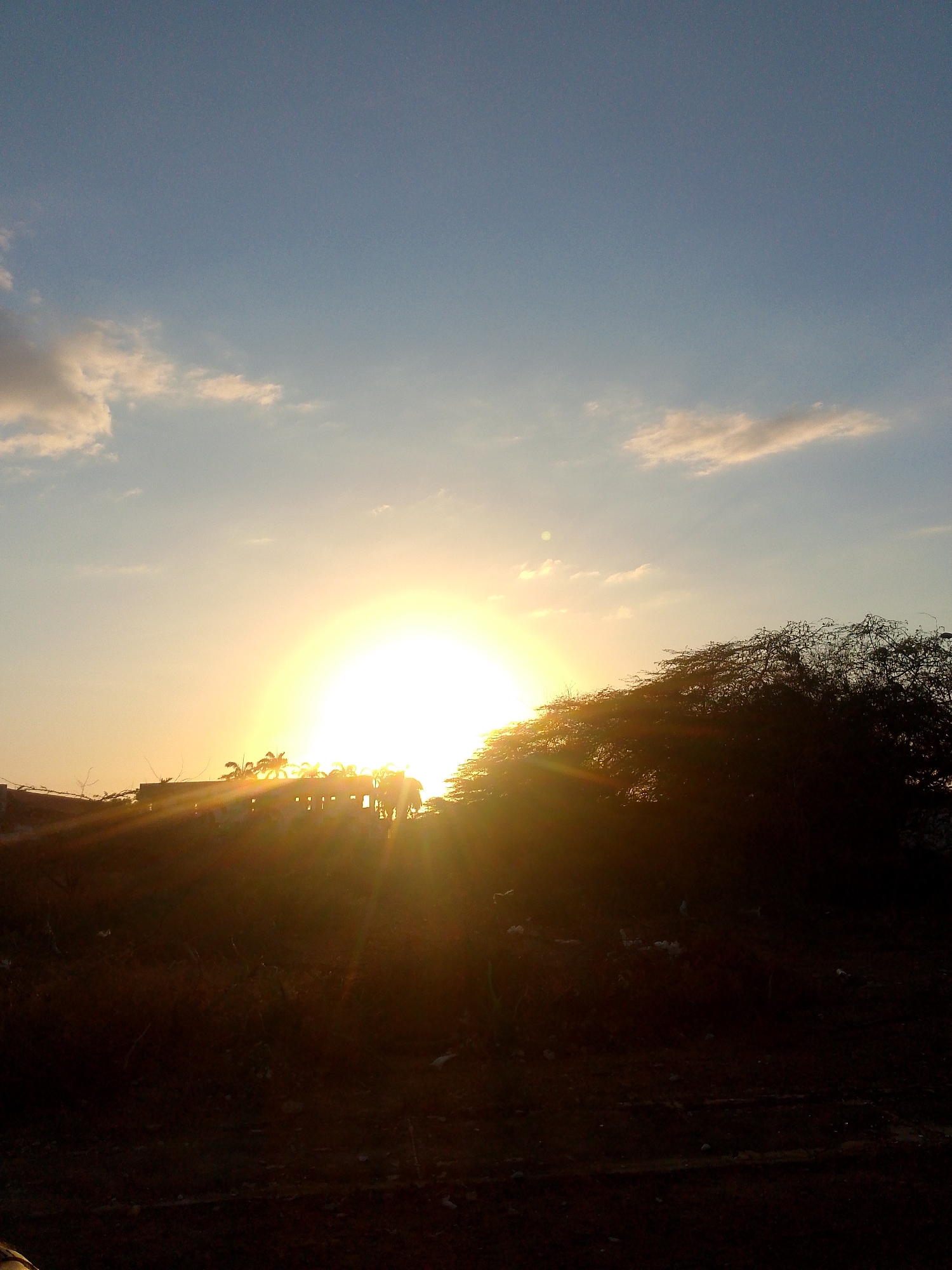 This image captures a picturesque sunset or sunrise over a landscape in Juan Griego, Venezuela. The bright, golden sun is the central and most dominant feature, positioned slightly to the left of the frame's center. Its intense rays fan out, creating strong shafts of light across the scene.
The sky above is a clear blue, gradually transitioning into warm orange and yellow tones as it approaches the horizon where the sun is located. A few wispy white and light grey clouds are scattered across the upper-left portion of the sky.
In the midground, various elements are silhouetted against the brilliant sunlight. To the left of the sun, a dark building or structure is visible, featuring several distinct rectangular openings, suggesting windows or doorways. Above this structure, the fronds of palm-like trees catch the sun's glow. To the right, a large, dense mass of foliage, resembling a heavily branched bush or tree, creates a prominent dark silhouette, extending across much of the right side of the frame.
The foreground is significantly darker, showing indistinct ground cover, possibly dry vegetation or uneven terrain, bathed in the deep shadows created by the intense backlighting. The strong sun rays also penetrate through gaps in the foreground elements, creating a luminous and dramatic effect. The overall scene conveys a sense of peaceful natural beauty at either dawn or dusk. No visible text is present in the image.