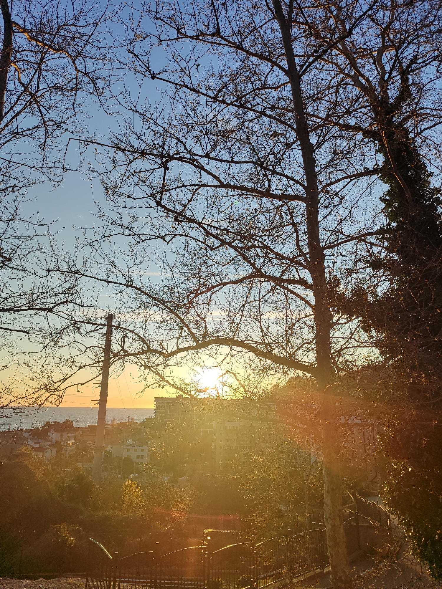The image shows a sunset view overlooking a cityscape and the sea. The foreground features bare trees silhouetted against the bright sunlight. Below the trees is a view of buildings, a telecommunication tower and glimpses of the sea horizon. The sky is a gradient of blue to orange, indicating either sunset or sunrise. The overall scene is bathed in warm light. It is impossible to give more precise location.