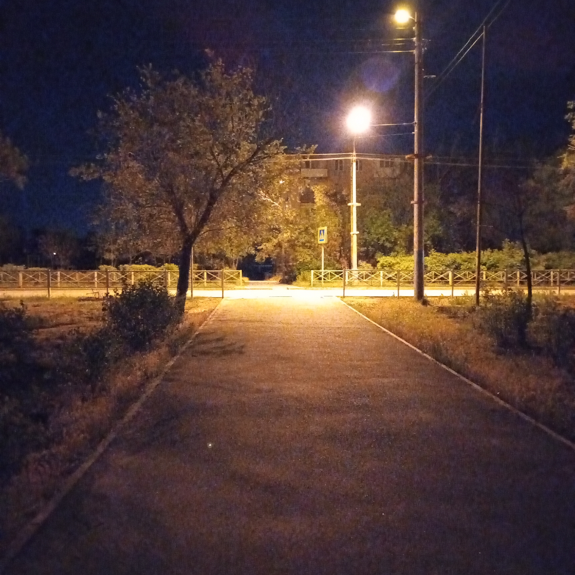 The image depicts a paved pathway at night in an urban park in Astrakhan, Russia. A street light illuminates the path and its surroundings, casting long shadows. To the left of the path, a tree with sparse foliage stands, and to the right, bushes and grass are visible. In the background, a wooden fence separates the park from a street where a building and more trees can be seen. A pedestrian crossing sign is also present. The overall scene is serene and quiet, typical of a park at night.