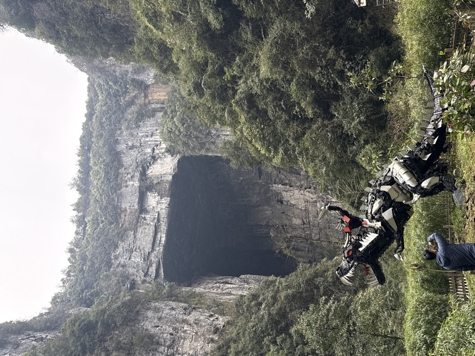 The image captures a landscape at the Three Natural Bridges scenic area within the Wulong Karst National Geology Park, Wulong District, Chongqing, China. In the background, immense, grey karst cliffs rise steeply, heavily covered in dense green vegetation. A colossal natural rock archway, identifying as part of Tianlong Bridge, forms a dark, cavernous entrance to a cave system in the central left of the frame. The sky above is overcast and pale grey.
In the middle ground, a large, dark-colored sculpture resembling a Tyrannosaurus Rex stands with its mouth open, showcasing jagged teeth. The sculpture is constructed from various metallic and possibly recycled materials, displaying prominent black, white, and red sections, with its right forelimb raised. An individual, dressed in dark clothing with visible red elements, is positioned atop the dinosaur sculpture's back. In the immediate foreground, a second individual wearing a dark blue jacket is visible from the back, holding a black camera or smartphone upward, actively photographing the dinosaur sculpture. A low wooden fence or railing separates the foreground from the sculpture, and various green plants and small trees are scattered across the uneven terrain.