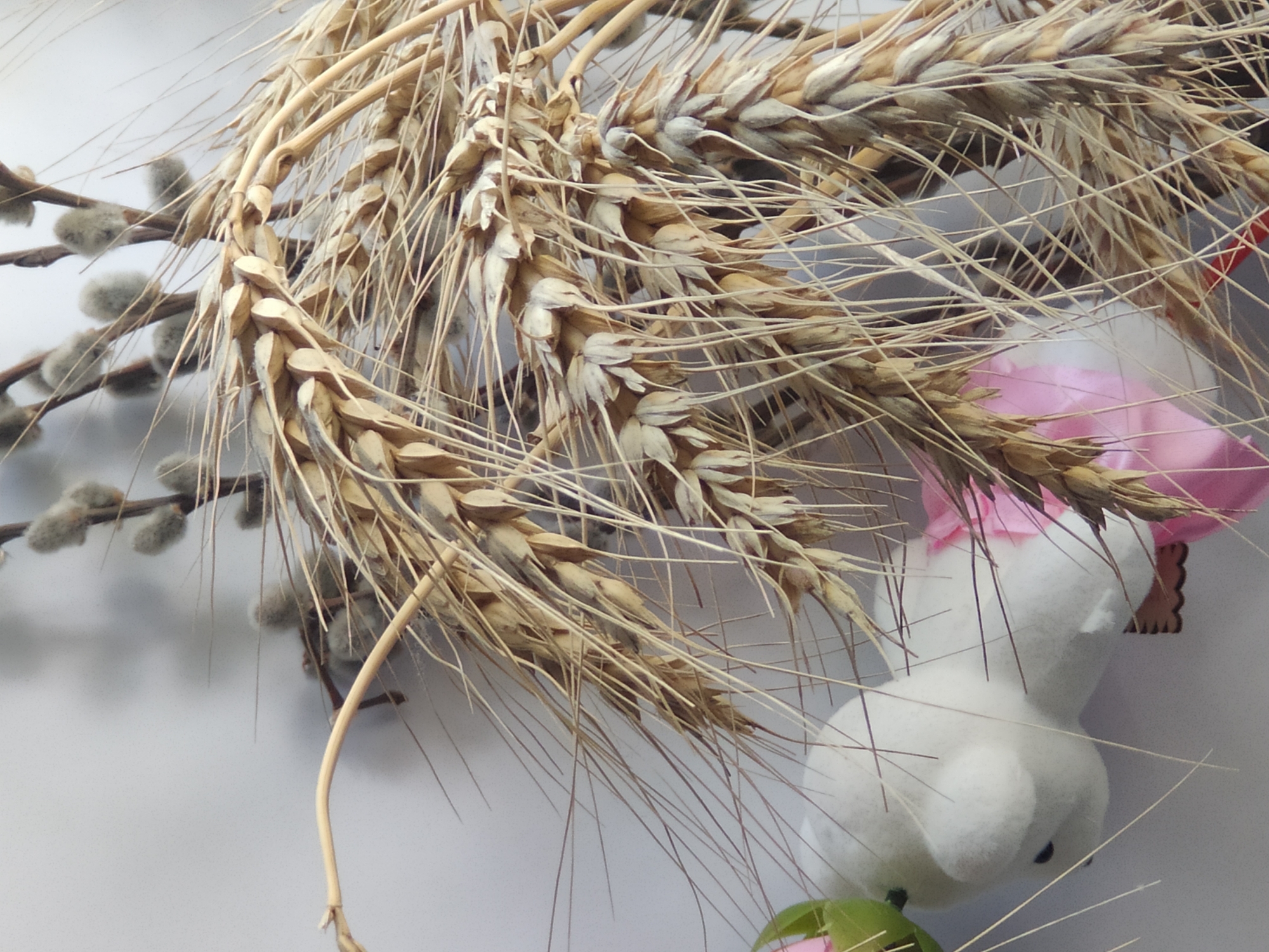 The image shows a close-up view of wheat stalks and pussy willow branches against a plain, light-colored background. The wheat stalks are dry and golden, with long awns extending outwards. The pussy willow branches have soft, fuzzy buds. In the lower left corner, a plush toy animal, possibly a white chick or bunny, is partially visible. It has a small black eye and is adorned with a pink ribbon. The toy appears to be part of a decorative arrangement. The overall impression is one of a rustic or seasonal decoration, perhaps for Easter, given the pussy willow and the toy animal. There is no indication of the image's location in Sterlitamak, Russia, or any other specific geographical information. The lighting is soft and even, with no harsh shadows. The focus is sharp on the wheat stalks and pussy willow, with the toy animal slightly out of focus.