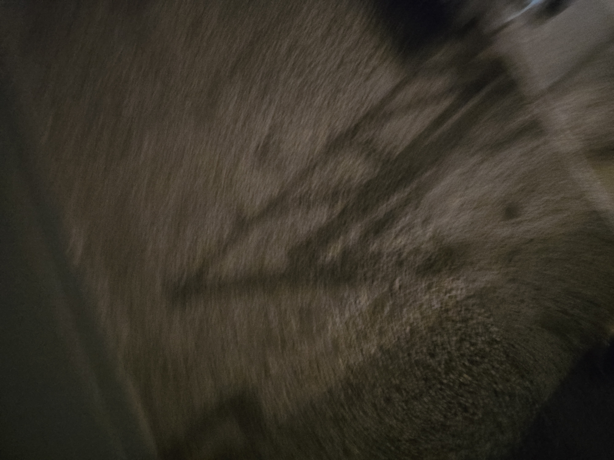 The image depicts a blurry, abstract scene with indistinct shadows cast across a textured, earthy surface. The lighting is dim and appears to be artificial, creating elongated and distorted shadow shapes that suggest the presence of upright structures. The surface itself has a granular quality, and the motion blur indicates movement within the scene. There is no discernible human activity or specific urban features visible, making it impossible to determine a precise location within Yambol, Bulgaria. The overall impression is one of a dimly lit, possibly outdoor area with moving shadows.