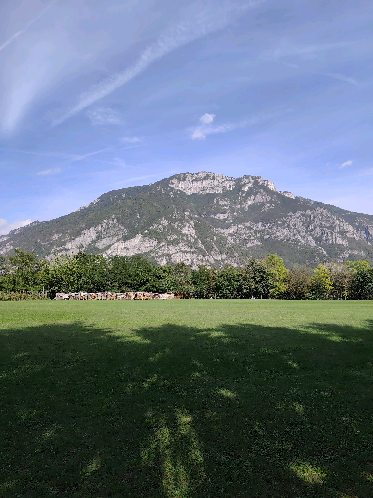A wide, sunny, outdoor shot features a lush green lawn in the foreground casting dappled shadows from unseen trees. In the middle ground, a line of neatly stacked firewood is arranged in front of a dense line of trees. Beyond the trees, a majestic, rocky mountain dominates the background under a bright blue sky with wispy white clouds. The scene appears to be located in Velo d'Astico, Italy.