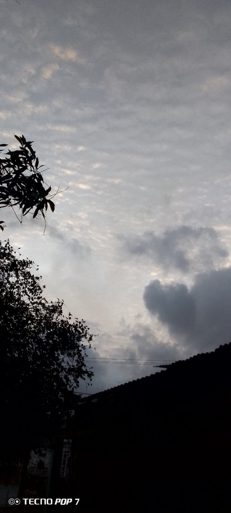 The image depicts a sky with altocumulus clouds. In the lower left corner, there is a silhouette of tree branches with leaves. In the lower right, a dark, undefined shape suggests a rooftop or building. The environment appears to be overcast, creating a low-light, gloomy atmosphere. The location is inferred to be in Altagracia, Venezuela. There are no people or explicit actions visible. The primary subjects are the sky, clouds, and vegetation.