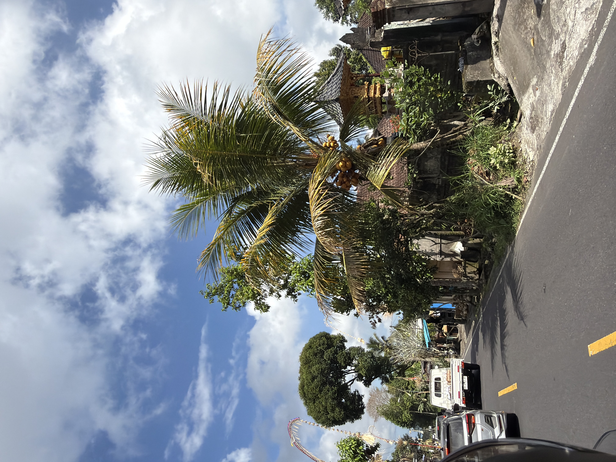 The image captures a street scene in Tampaksiring, Indonesia, under a bright, cloudy sky. A paved road runs through the center of the frame, marked with yellow lines. On the right side of the road, a stone wall borders a property with lush green vegetation and a traditional Balinese structure featuring a dark, tiered roof and golden accents. A mature coconut palm tree with a cluster of ripe coconuts stands prominently in front of this structure.
On the left side of the road, a silver SUV is visible from the rear, partially obscuring the view of a white pickup truck driving ahead. Further down the road, more trees and buildings line the street, with some featuring decorative arches and banners, possibly indicating a local festival or celebration. The overall environment suggests a tropical, possibly rural or semi-urban setting within the city of Tampaksiring.