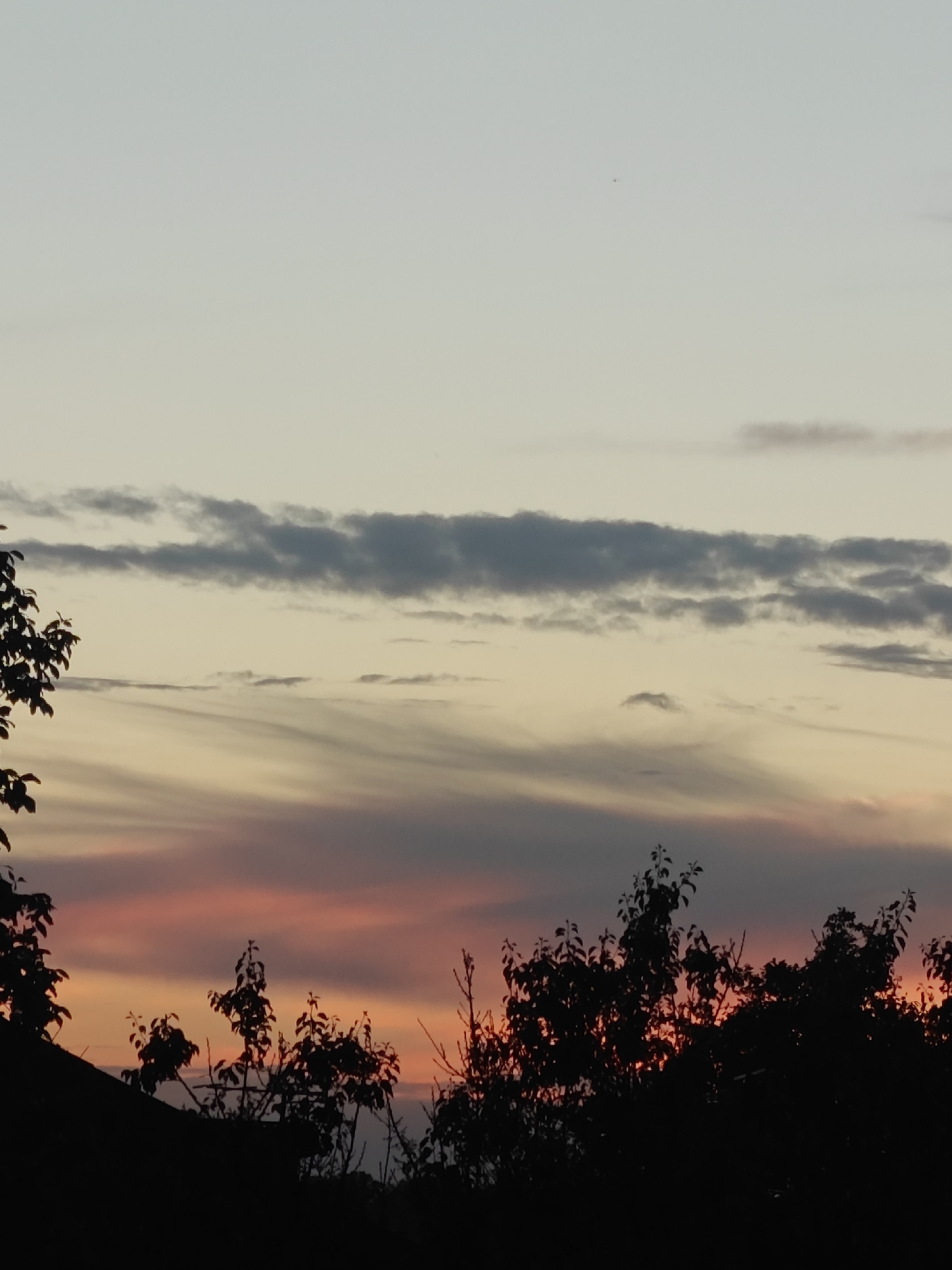 The image shows a sunset in what may be Hadiach, Ukraine, though this cannot be confirmed forensically from the image alone. The sky displays a gradient of colors, transitioning from a pale, almost white, sky at the top to a layer of grayish-blue clouds, then to streaks of yellow and gray, and finally, bands of orange and pink near the horizon. The silhouettes of trees and what may be a rooftop occupy the bottom of the frame. The trees are dark against the colorful sky.