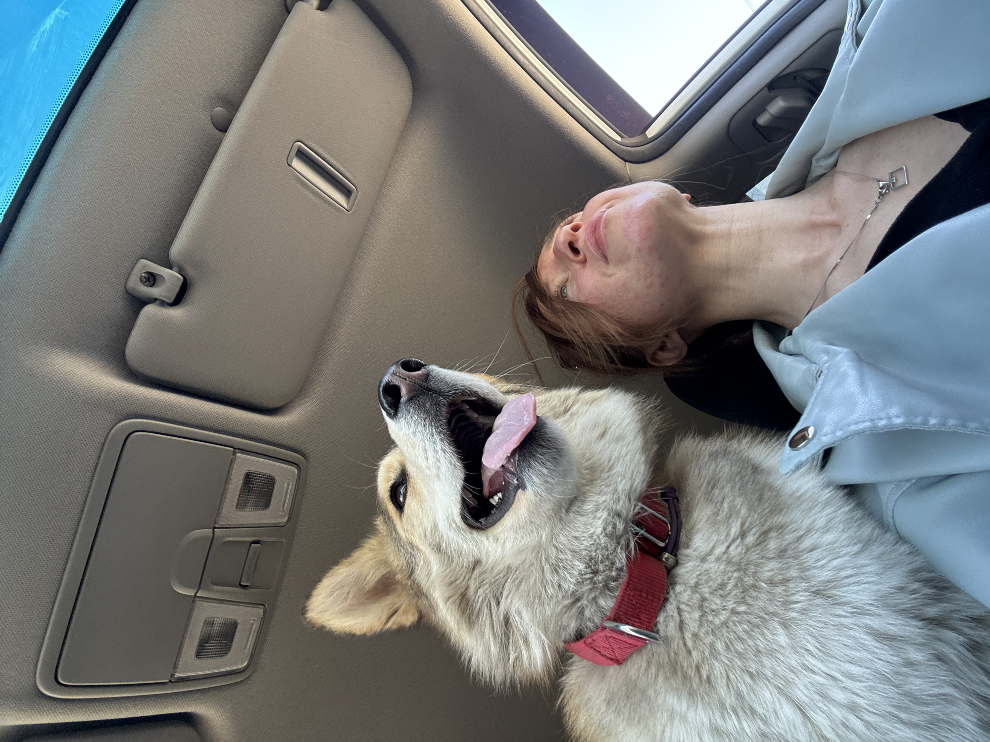 A woman and a dog are inside a car. The woman is wearing a silver necklace and a light blue jacket over a black shirt. The dog has a red collar and its mouth is open with its tongue sticking out. The interior of the car is visible, including the sunroof, sun visor, and interior lights. This scene is located in the city of Прикамский, Russia.