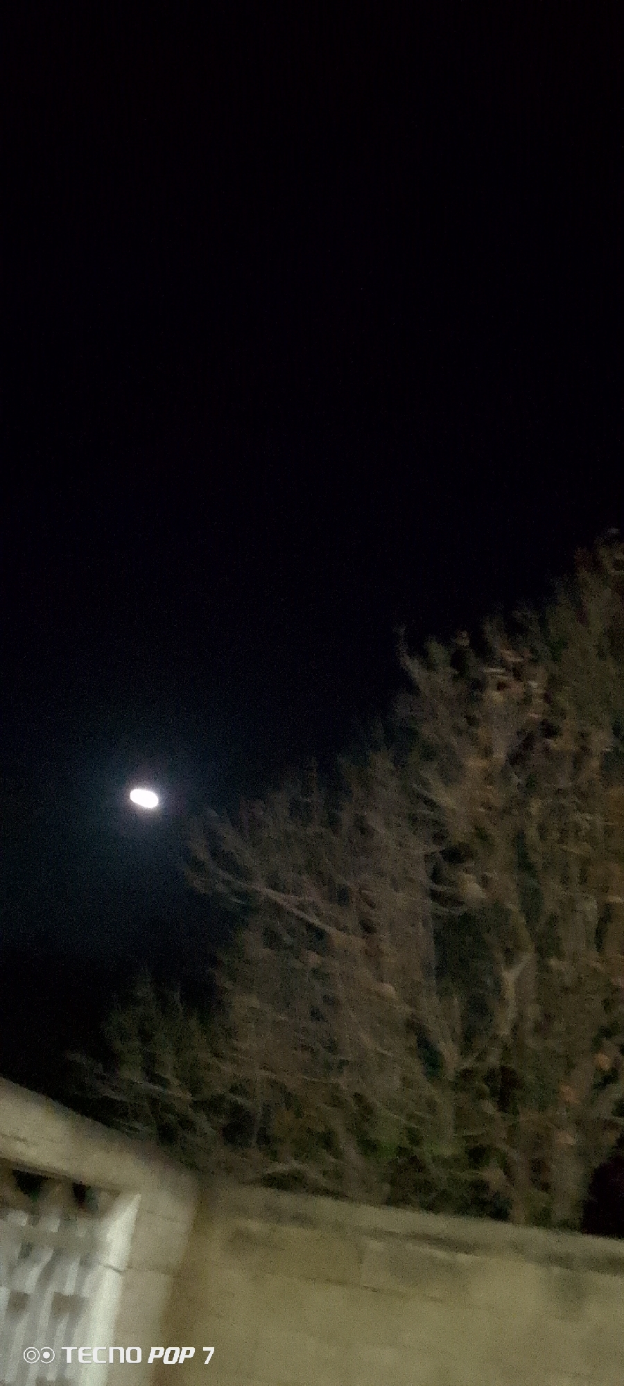 The image, taken at night, shows a partially obscured moon to the left of center in a black sky. A dark tree with bare branches occupies the right portion of the frame. The bottom of the image contains out-of-focus structures, possibly a building, with a concrete wall visible. The words "TECNO POP 7" are visible in the lower left corner. The location of the photo is not specified, and there is no indication of Altagracia, Venezuela. No people, subjects, objects, actions, or interactions other than the natural elements and static structures can be determined with certainty from the image.
