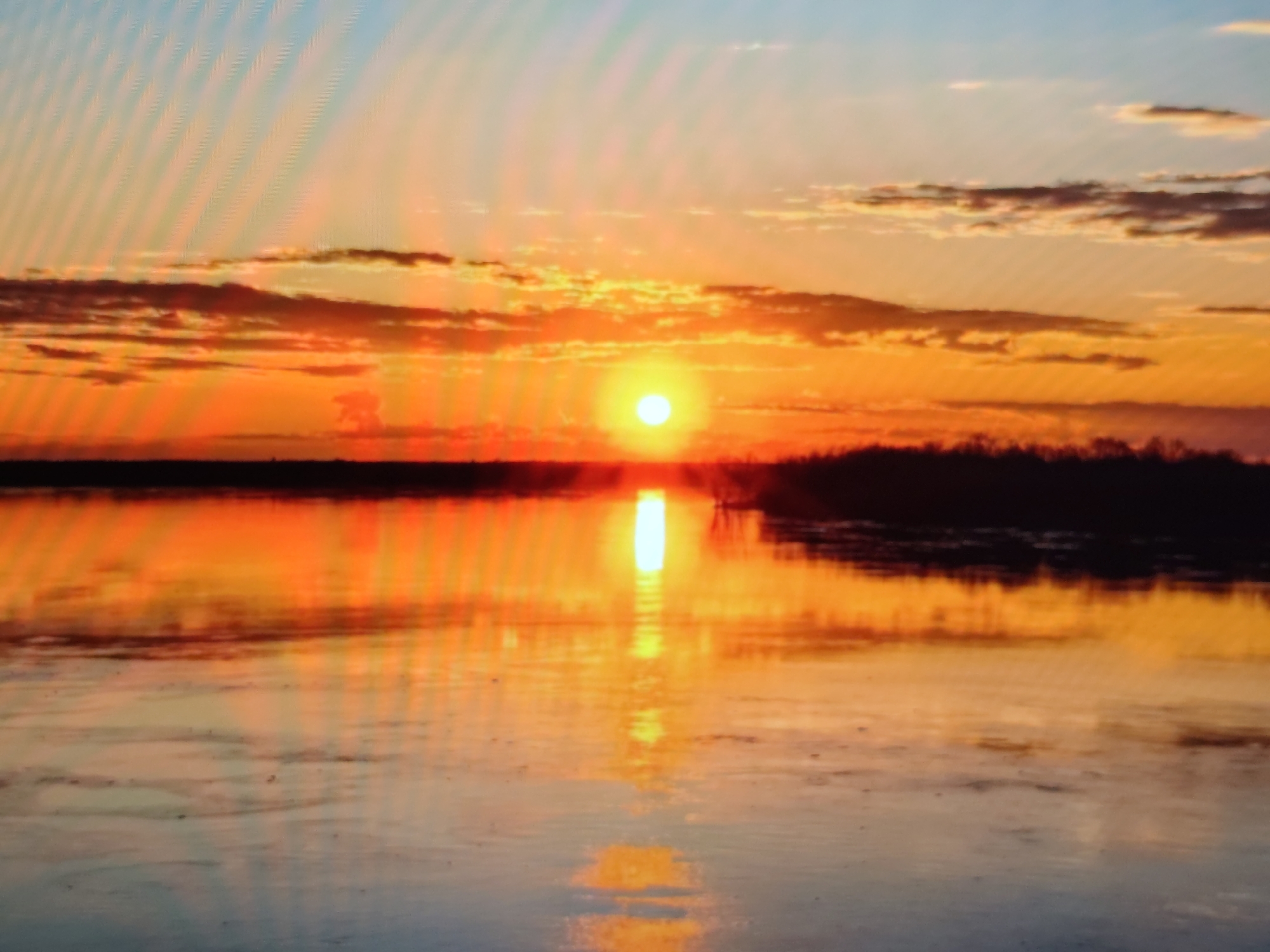 The image shows a vibrant sunset over a body of water. The sky is a mix of bright orange, yellow, and blue, with scattered clouds tinged with fiery hues. The sun, a brilliant white orb, is positioned slightly to the left of the frame, casting a strong reflection on the water's surface. The water itself is calm, reflecting the colors of the sky and the sun's glare, creating a mirror-like effect. A dark silhouette of trees or land borders the horizon. The image lacks any discernible human presence or specific urban landmarks, making it impossible to determine if it is located in Syktyvkar, Russia.
