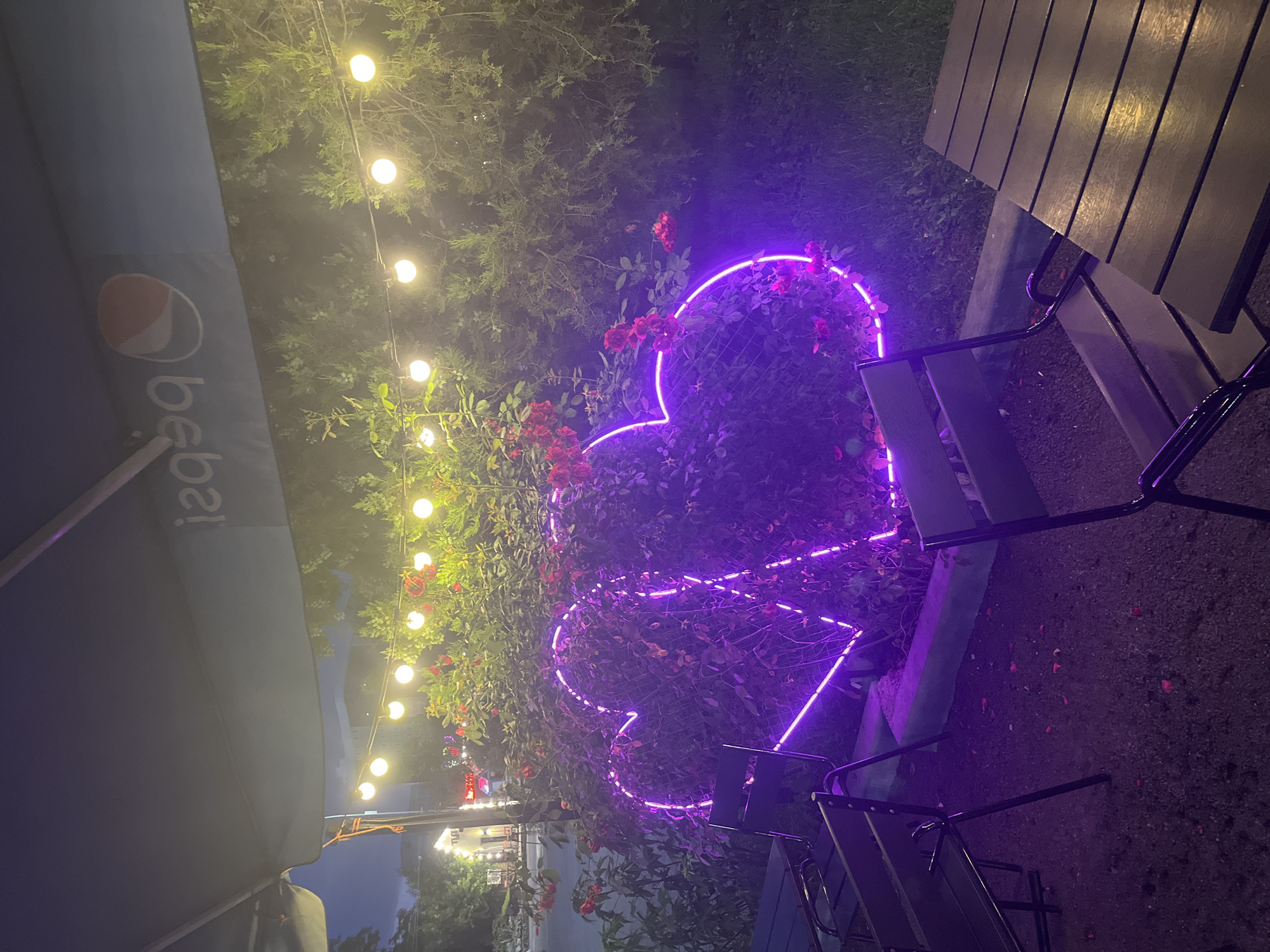 The image depicts an outdoor seating area at night, likely a cafe or restaurant, with a romantic ambiance. In the foreground, there are several dark-colored chairs and a wooden table. Behind the seating area, a large bush or hedge is adorned with two illuminated purple neon heart shapes, intertwined and vibrant against the dim lighting. Red roses are visible amongst the foliage surrounding the hearts. Above the greenery, a string of warm, yellow fairy lights is suspended, casting a gentle glow. In the background, trees and distant buildings are faintly visible, suggesting an urban setting. A large dark umbrella, possibly part of the establishment's outdoor furniture, is visible in the upper portion of the image, featuring a reversed Pepsi logo. The ground is covered in gravel, with a few fallen rose petals scattered around. The scene is set in the city of Krasnodar, Russia.