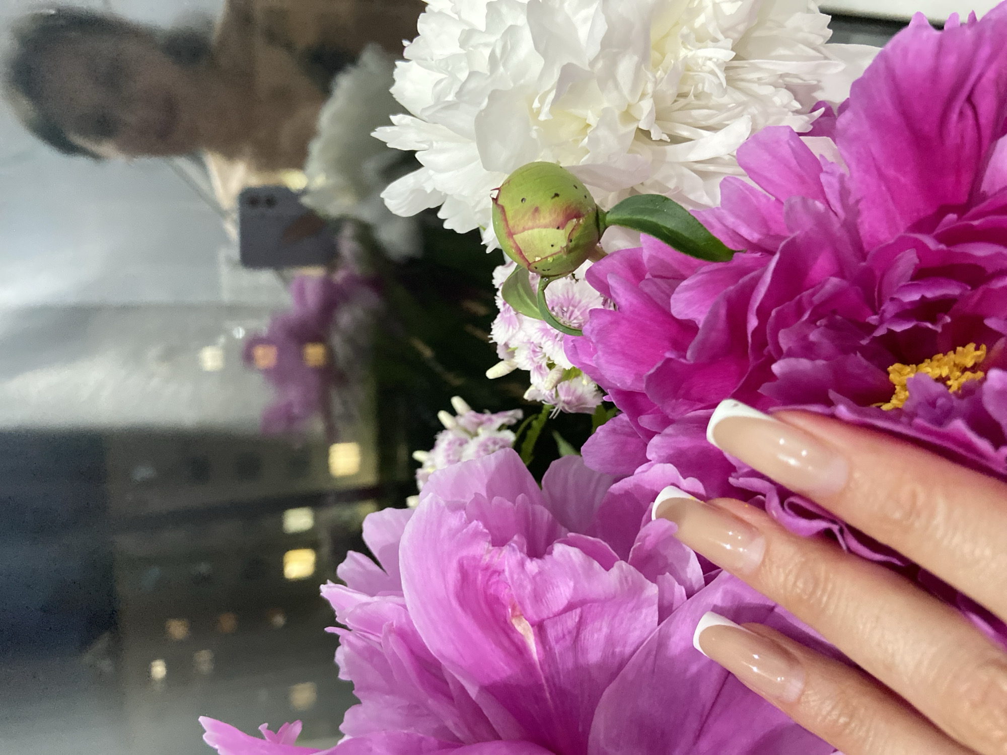The image shows a close-up view of a bouquet of peonies, with a hand with French manicured nails resting on the flowers. In the background, a blurred reflection in what appears to be a window shows a woman holding a purple phone, possibly taking a selfie. The reflection also reveals a city skyline with illuminated buildings. The bouquet consists of vibrant pink and white peonies, along with some smaller white and pink flowers. A green bud is also visible. The overall scene suggests an indoor setting, likely an apartment with a view of the city. The image does not contain any information about the city of Япрыково, Russia.