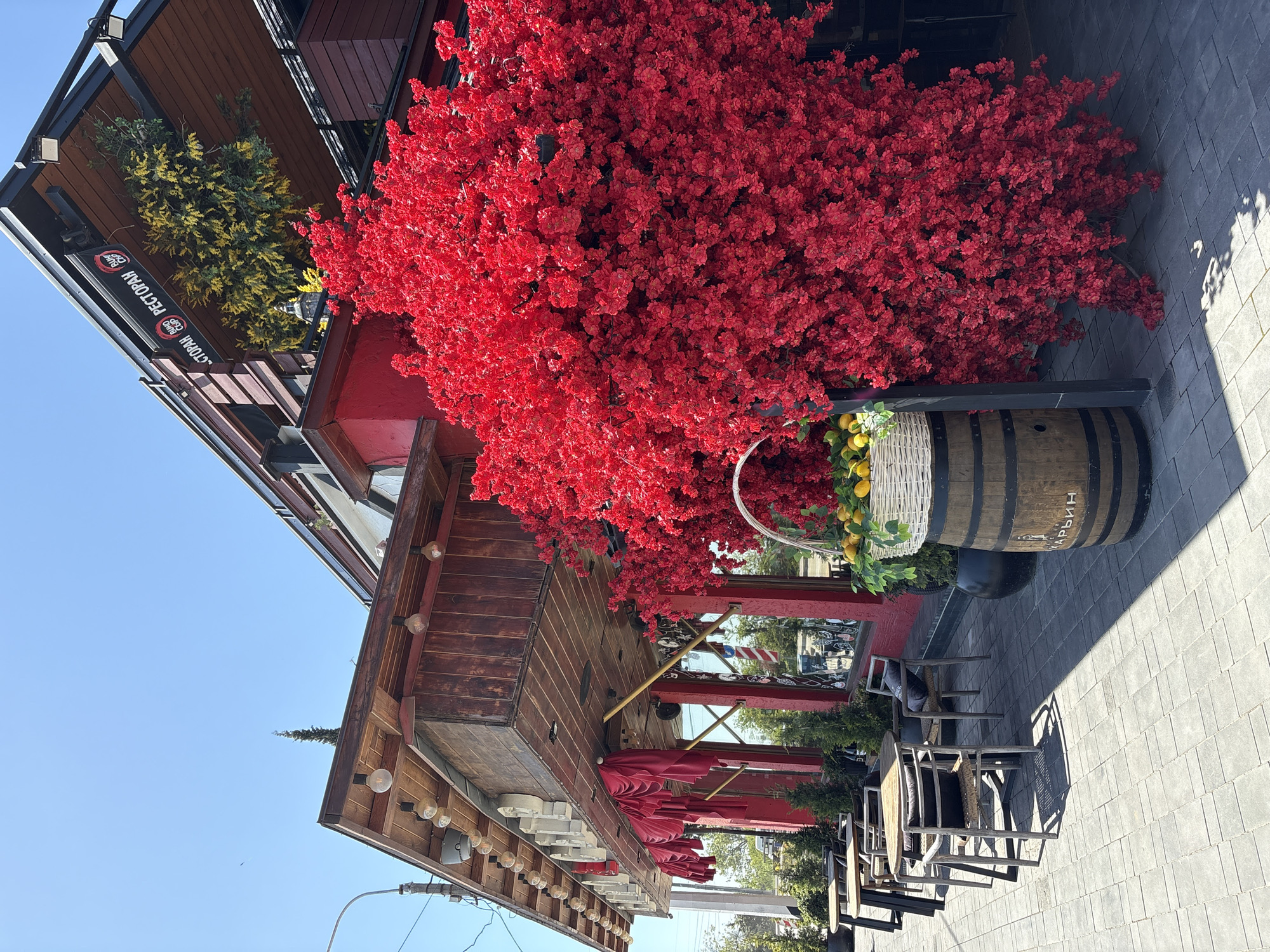 The image shows a restaurant in Kiparisnoe, Ukraine. The restaurant's exterior features wooden construction with a string of lights along the roofline. There's a large, artificial red tree in front of the building, situated on a barrel with a basket on top. Outdoor seating, including tables and chairs, is arranged on the sidewalk in front of the restaurant. The sky is visible and blue.