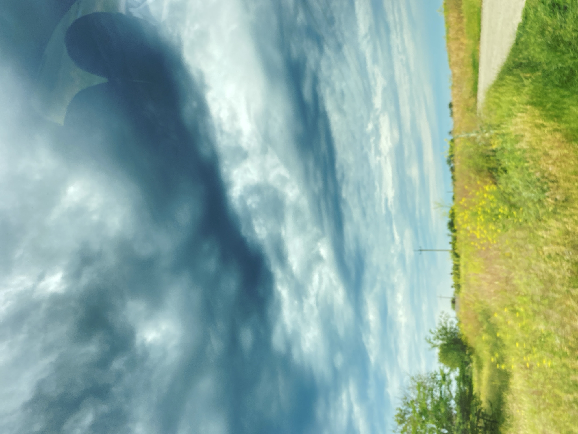 The image displays an expansive, blurred outdoor landscape, likely rural, under a heavily clouded sky. The upper two-thirds of the frame are dominated by a dense, layered cloud formation ranging in color from light teal to dark bluish-gray. Within the upper right quadrant of the sky, a distinct, dark, and semi-transparent reflection, possibly heart-shaped or depicting two rounded forms, is superimposed over the clouds. The lower third of the image features a field of tall grasses and scattered yellow wildflowers, rendered with soft focus. A light-colored dirt or gravel path originates from the lower right and recedes towards the distant horizon. On the left, a cluster of green trees or large shrubs is visible, while a single utility pole stands in the mid-ground, slightly to the right of the central axis. No individuals or animals are present. The location is Unknown, Unknown.