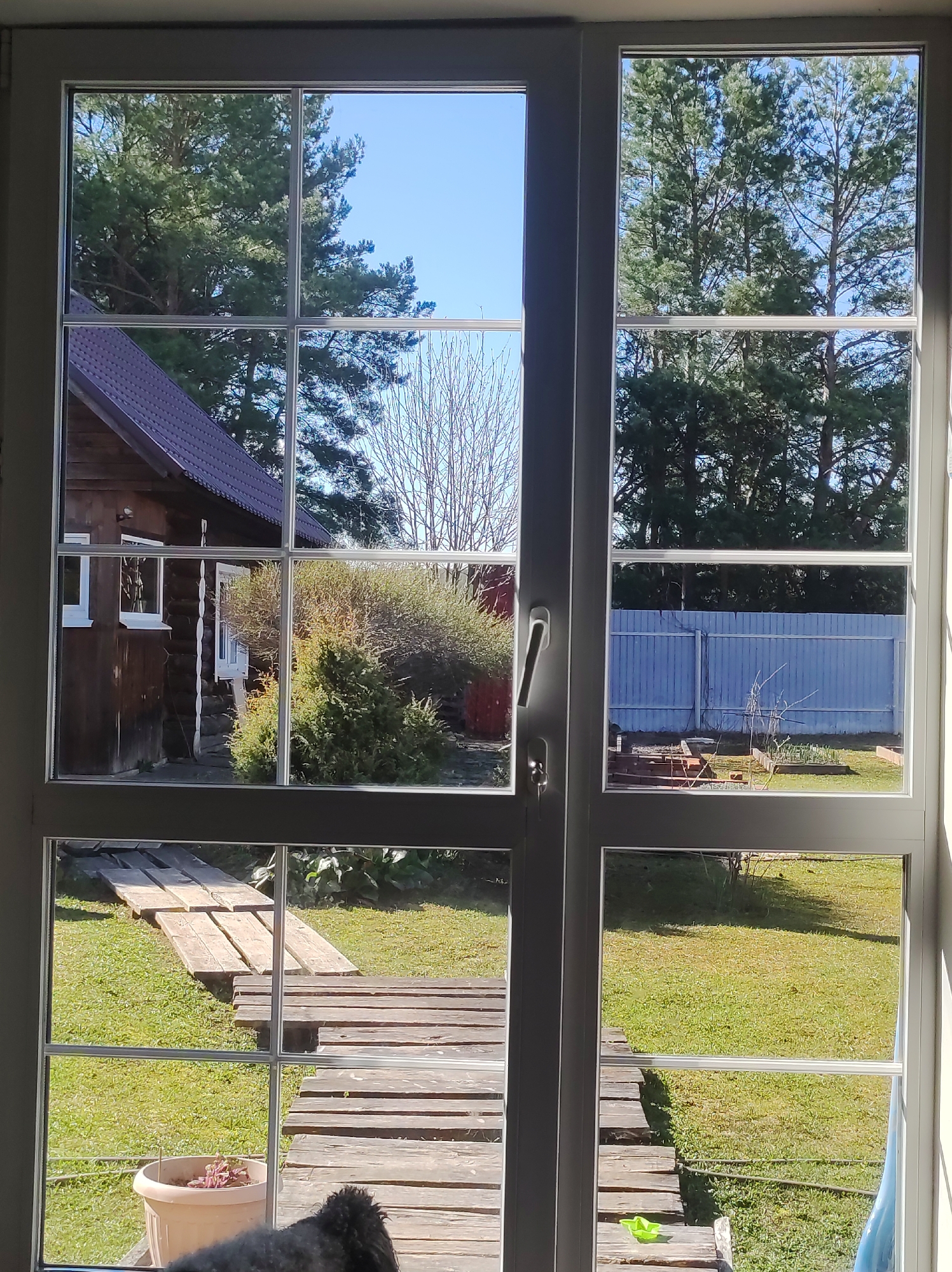 The image shows a view from inside a building through a window with a grid-like frame. Outside, there is a grassy yard with a wooden path. A wooden house is visible to the left. A blue fence is seen in the distance. The weather appears sunny. A pot is at the bottom of the window on the left, and the head of an animal is visible at the bottom. The location is possibly Фоки, Russia.