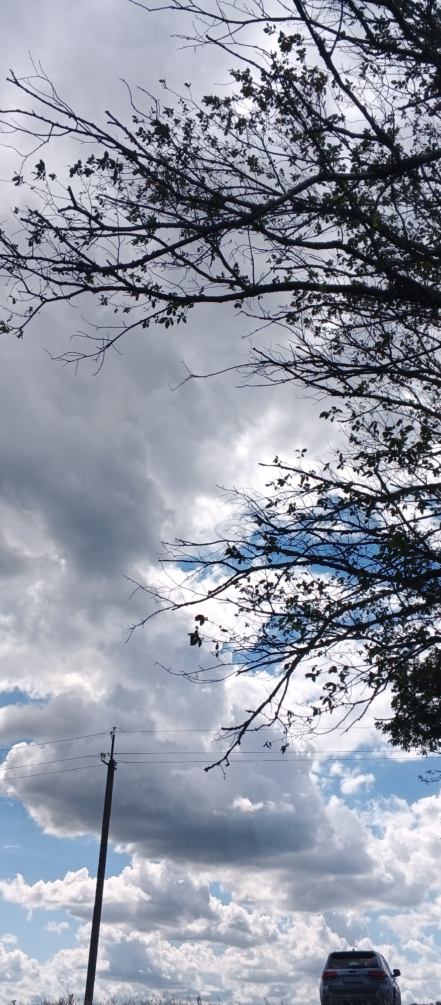 The image depicts an outdoor scene with a dramatic cloudy sky. In the foreground, silhouetted against the sky, are the bare branches of a tree, some with sparse leaves. A power pole with wires is visible on the left side of the frame, extending vertically upwards. In the lower right corner, a dark colored SUV is parked, facing away from the viewer. The sky is filled with a mix of dark, heavy clouds and patches of bright blue sky, with sunlight filtering through in some areas. The lower edge of the image shows a hint of dry vegetation. The overall impression is of a somewhat overcast day in a semi-rural or suburban area.
