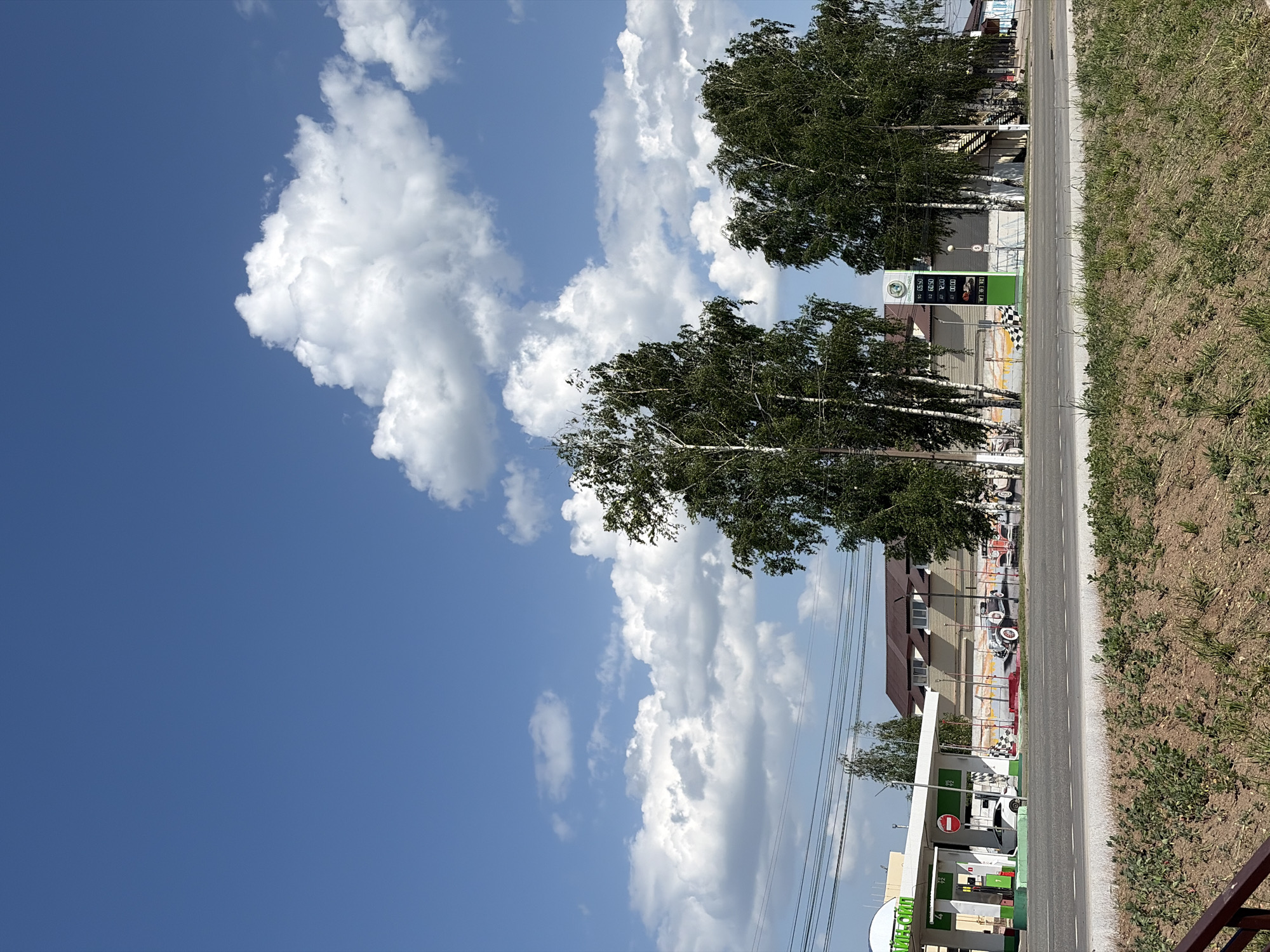 The image shows an outdoor scene in Chaikovsky, Russia. In the foreground, there is a road with grass and foliage on the right side. Along the road, there are trees with light-colored bark and green leaves. In the background, there is a building with a mural and a gas station. The sky is blue with large white clouds.