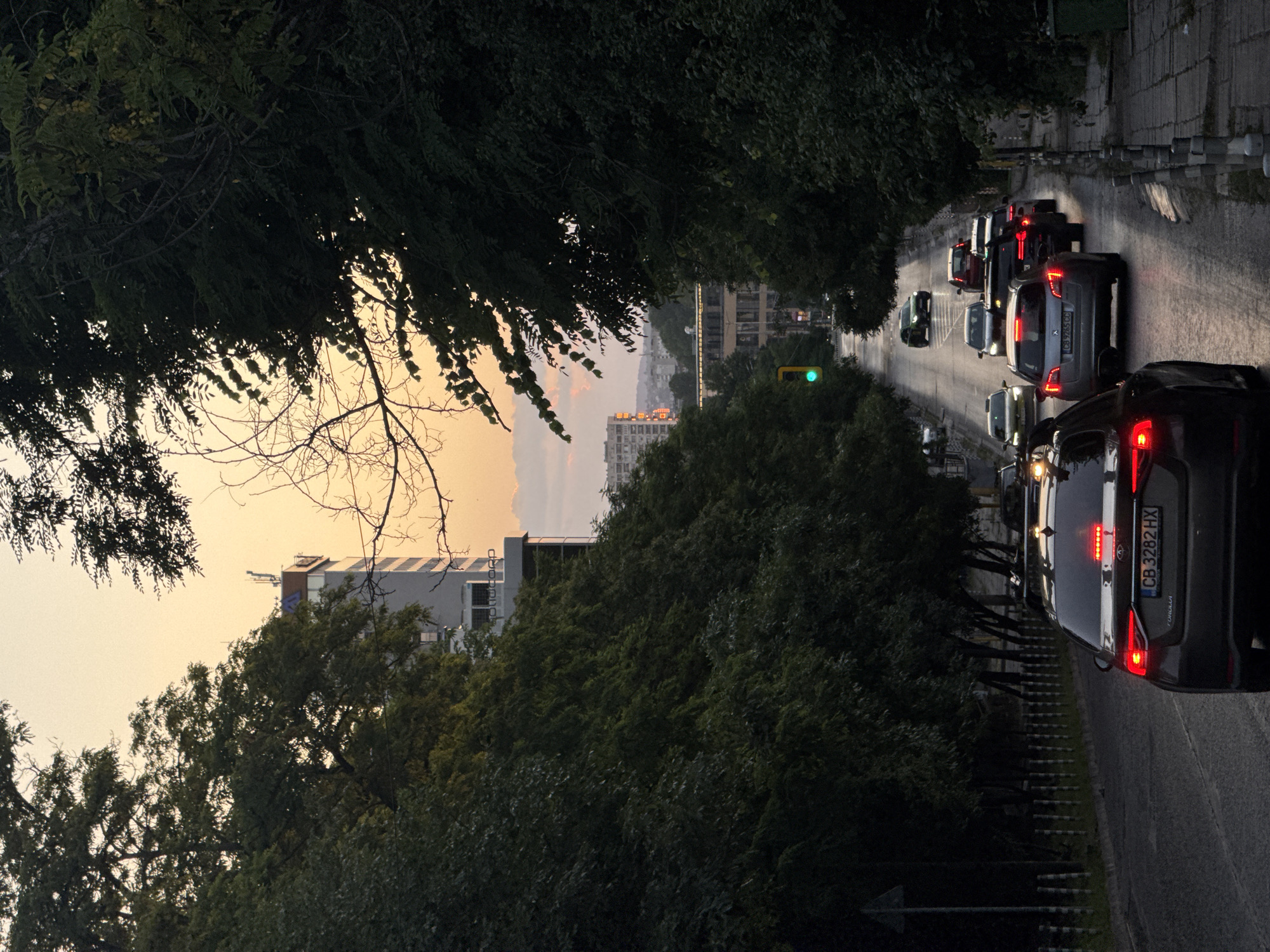 The image depicts a street scene in Sofia, Bulgaria, likely during twilight or early evening. The perspective is from a vehicle driving on a wet road, looking forward. A line of cars is visible, moving in the same direction. The road is flanked by dense trees on both sides, with a sidewalk and some urban infrastructure along the right side. In the background, there are buildings, including a taller modern one on the left and other structures further in the distance, under a pale, orange-tinted sky. A traffic light is illuminated green in the middle distance. The overall atmosphere suggests a typical urban commute with moderate traffic under fading daylight.