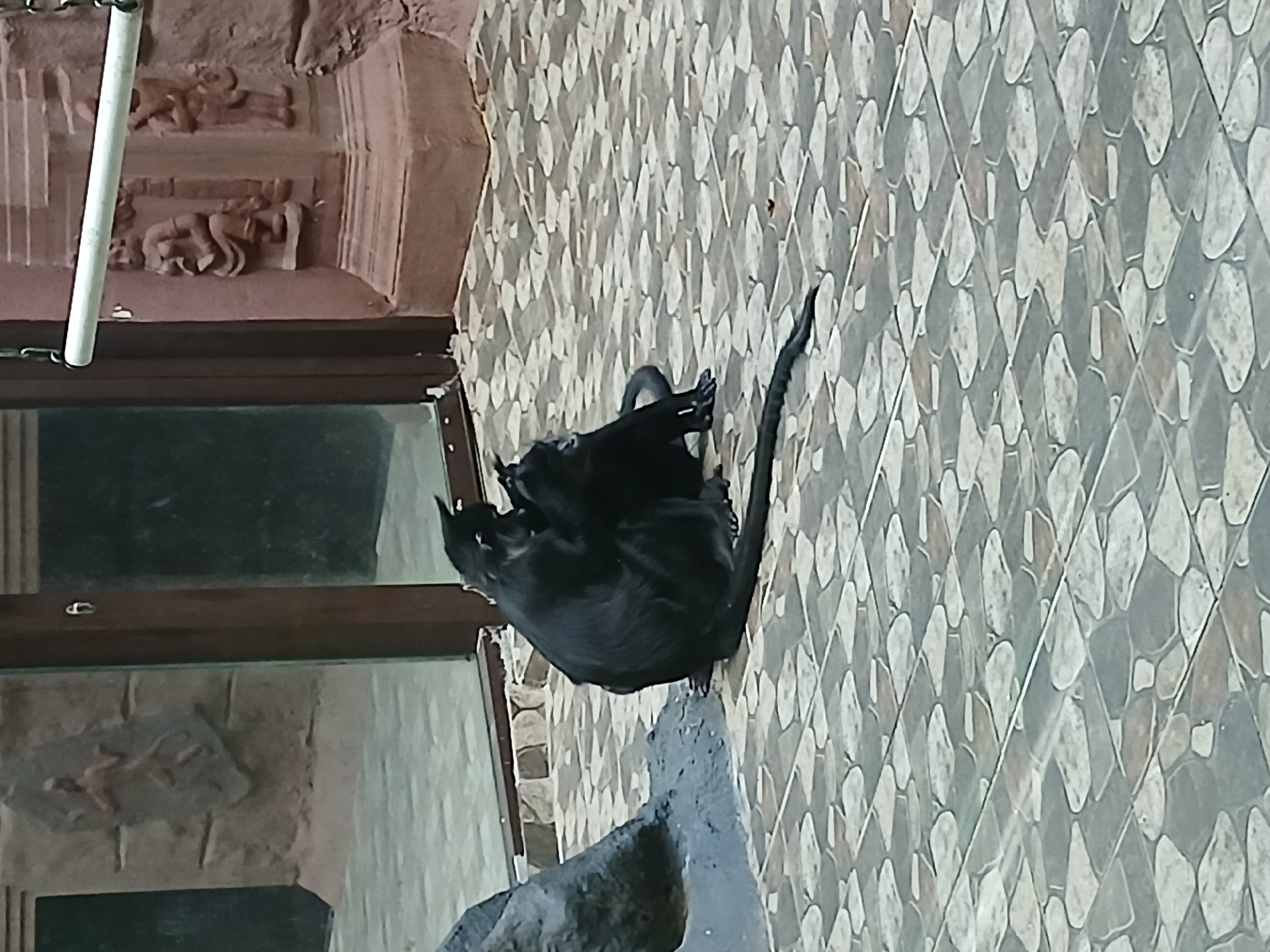 The image shows a black monkey with its tail extended, resting on a stone-like structure near a building. The building has a window with a brown frame, above which there are carvings or decorations. The background features a tiled wall. The image does not clearly identify the location as Izhevsk, Russia, nor does it contain information on the year this image was taken.