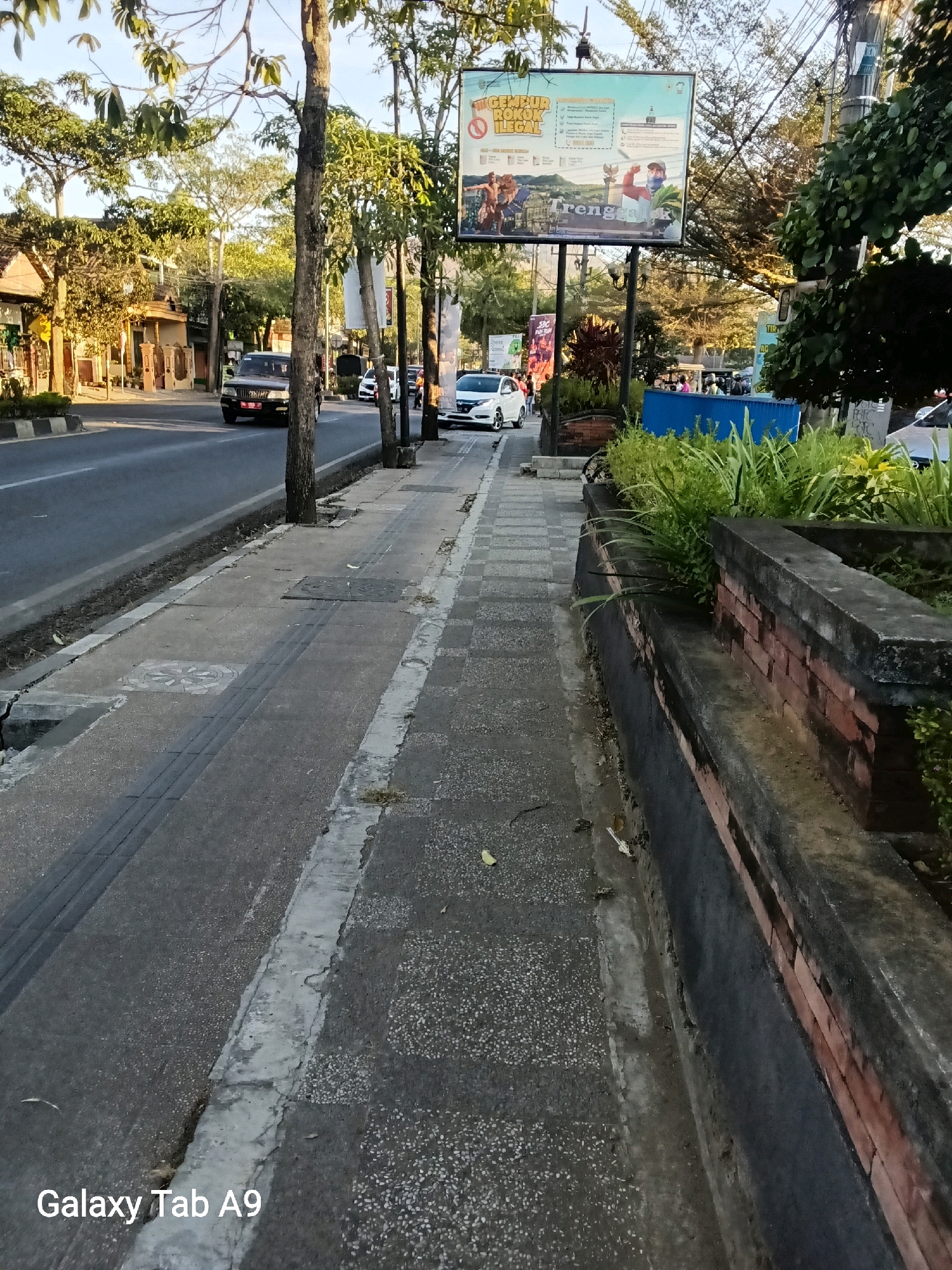 This image depicts a street scene in Kelutan, Indonesia, at what appears to be late afternoon or early evening, given the low angle of the sunlight casting long shadows. The foreground is dominated by a paved sidewalk and an adjacent road. The sidewalk is made of concrete with a textured surface and features tactile paving for visually impaired pedestrians, indicated by a raised linear pattern. A rectangular manhole cover is visible on the sidewalk.
To the right of the sidewalk is a raised planter bed constructed with a concrete retaining wall, partially lined with reddish-brown bricks. Lush green foliage grows within this planter.
The road, to the left of the sidewalk, is asphalt and appears to be a multi-lane street with a white dividing line. Several vehicles are present on the road. A dark-colored SUV with a license plate is driving away from the viewer, and further down the road, a white sedan is also visible.
In the background, trees line the street, their branches creating a canopy. A large billboard with text and images is prominently displayed above the trees, suggesting an advertisement or public service announcement. Buildings with traditional Indonesian architecture, characterized by pitched roofs and decorative elements, can be seen behind the trees along the street. The sky is clear and blue, indicating good weather.
The presence of the "Galaxy Tab A9" watermark in the bottom left corner identifies the device used to capture the image. The overall impression is that of a typical urban environment in Indonesia, with a blend of infrastructure, nature, and commercial elements.