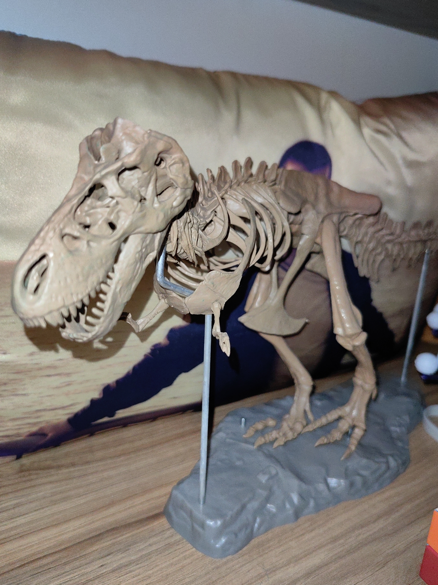 A detailed model of a Tyrannosaurus Rex skeleton, rendered in a light beige, bone-like color, is the central subject of the image. The model is intricately designed, showcasing individual teeth, cranial structures, a full rib cage, and the distinct bone patterns of its limbs and tail. It is supported by a thin, silver-colored rod and stands firmly on a textured, grey base that mimics rocky terrain.
In the background, a large, lighter-toned image or poster serves as a backdrop. Partially visible within this background is a human figure, seen from the side or back, wearing dark blue or purple clothing, with their arm extended. The environment depicted in the background image appears to be a sandy or light brown landscape, possibly suggesting a desert or an excavation site, though it is largely out of focus and obscured by the dinosaur model. The overall setting is indoors, with the model placed on a wooden surface that exhibits a visible grain. On the right side, some indistinct white spherical objects are partially visible, and a small segment of an orange object, possibly a toy, can be seen in the bottom right corner.
No specific activity is occurring; the image is a static shot of the display. The time of day is not discernible, as the scene is illuminated by artificial indoor lighting. Despite the provided context of Sochi, Russia, there are no explicit visual cues within the image itself to confirm this location. No text is visible in the frame.