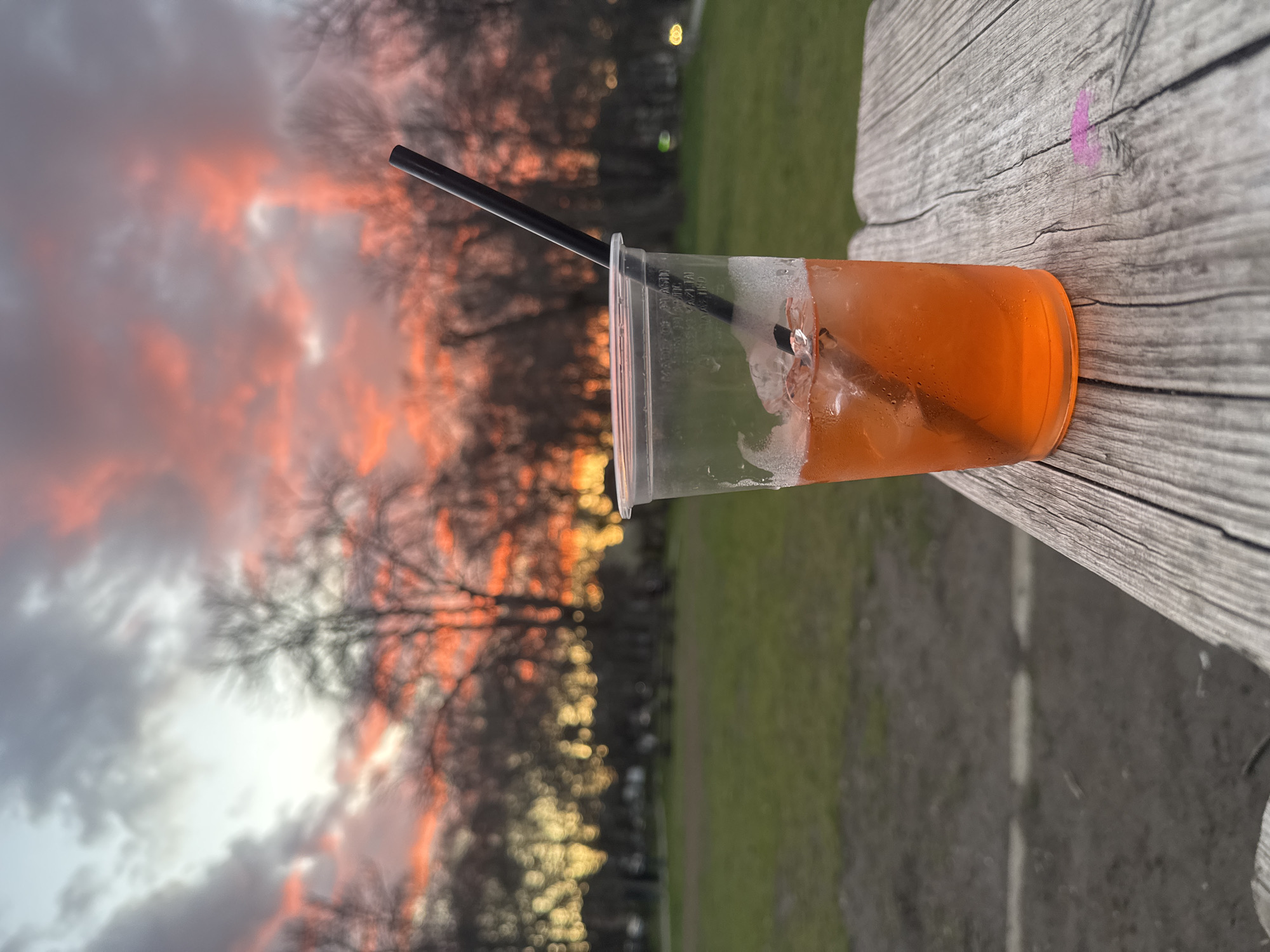 A plastic cup filled with orange liquid and ice sits on a weathered wooden surface. A black straw is inserted into the drink. Behind the cup, the background shows a blurred outdoor scene with trees silhouetted against a vibrant sunset sky with orange and gray clouds. Patches of green grass are also visible in the background. The image appears to be taken at ground level with a slight angle. The presence of parkland and trees suggests the general location is a park, possibly one of Sofia's numerous green spaces. Exact location in Sofia is unknown from this image.