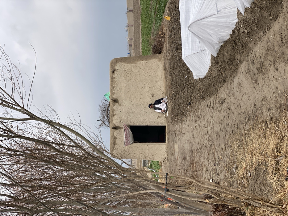 An exterior shot depicts a simple, one-story mud structure under a cloudy sky. A man dressed in white and black sits cross-legged in front of the entrance. A row of leafless trees lines the foreground, partially obscuring the view. A field stretches out behind the building, with rows of cultivated plants visible. A white plastic structure sits on an elevated mound adjacent to the building. The overall atmosphere is rural and rustic.