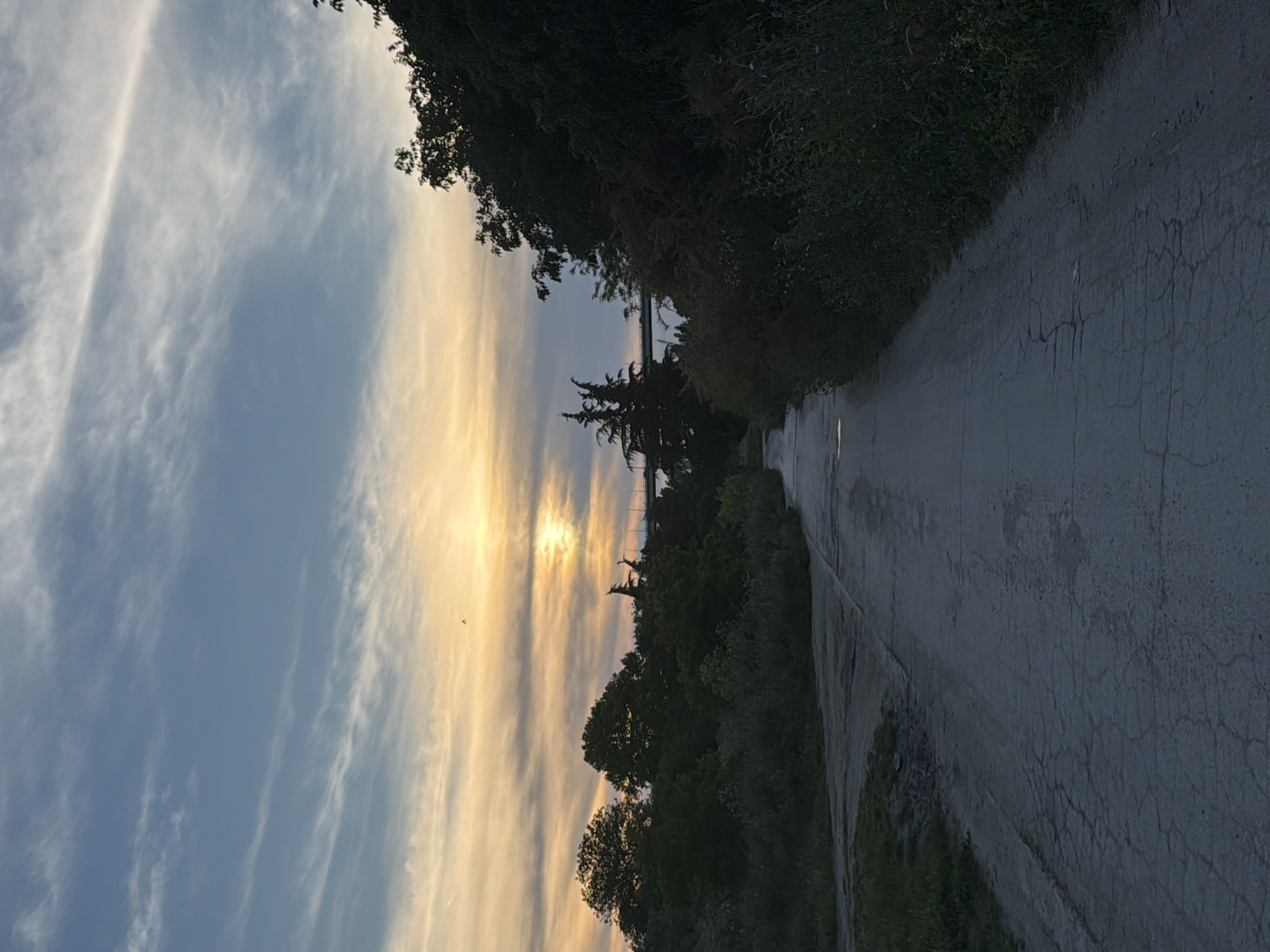 The image depicts a wide, cracked asphalt path leading towards a distant bridge. The path is bordered by dense, dark green foliage and trees on both sides. In the background, the sky is a gradient of soft blues and oranges, indicating either sunrise or sunset. Wispy white clouds are visible, and a faint sun is partially obscured by them. A single, small bird is in flight in the upper center of the frame. The overall scene is natural and somewhat desolate, with no people or human activity clearly visible. The bridge in the distance suggests an urban or suburban setting. Given the location of Varna, Bulgaria, this path could be part of a park, a nature reserve, or an undeveloped area near the city, possibly leading to a crossing over a body of water or a road.