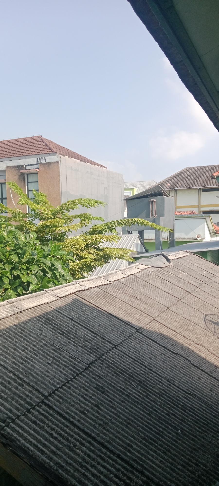 The image shows a view from a rooftop in Tuban, Indonesia, looking towards several buildings and a tree. In the foreground, a corrugated, weathered roof dominates the lower half of the frame, with shadows cast across it by an unseen object. Beyond this roof, a lush green tree with lighter green leaves extends into the middle ground. Behind the tree, several buildings are visible. The closest building on the left is light brown with a tiled roof and appears to have a window. To its right is a taller, light gray building. Further in the background, other buildings with tiled and flat roofs are visible under a clear, pale blue sky. The overall scene suggests a residential or mixed-use area on a sunny day.