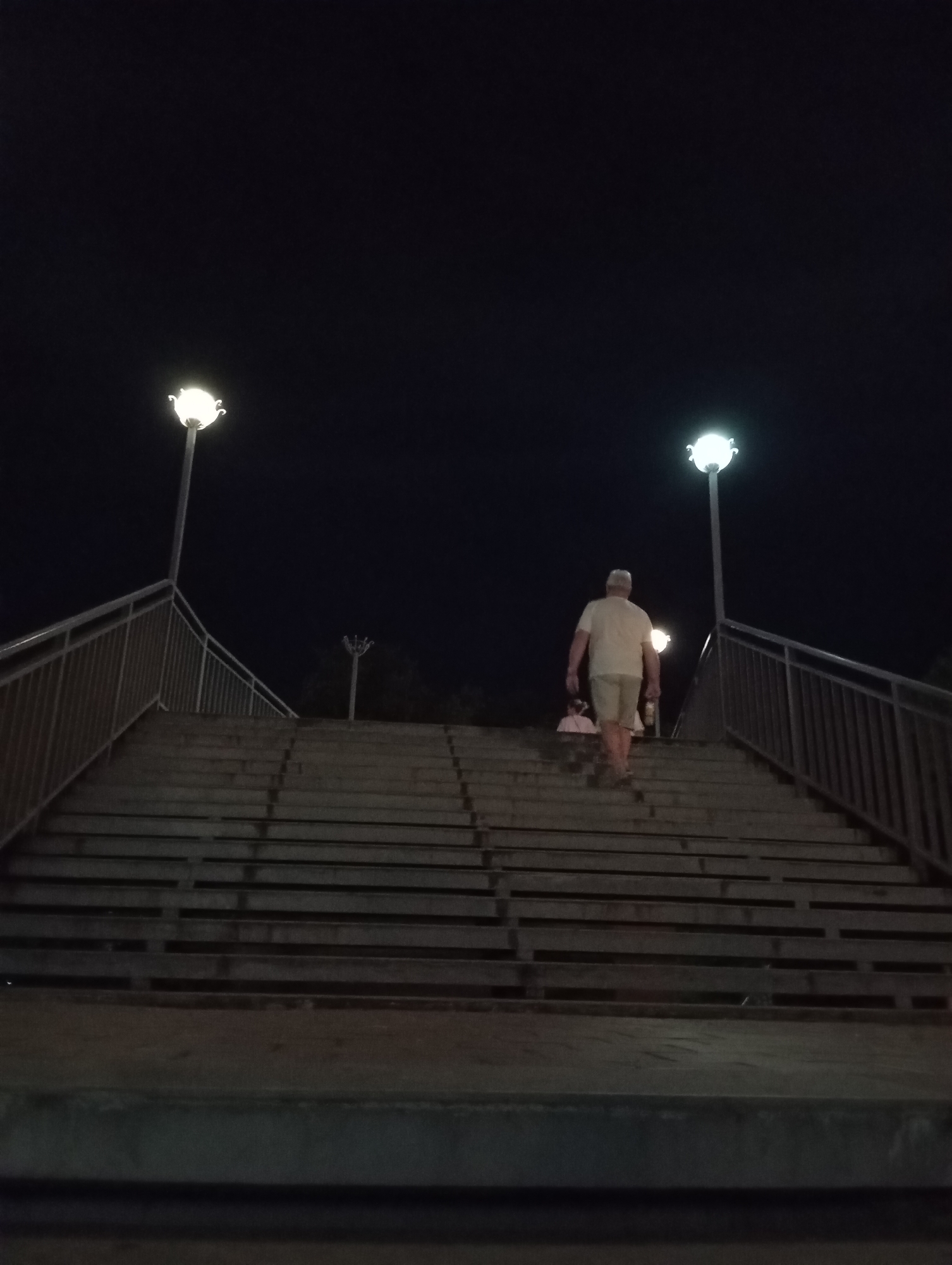 An individual is ascending a wide, outdoor staircase at night, illuminated by streetlights. The person is wearing a light-colored t-shirt and shorts and is carrying a light-colored bag in their right hand. The staircase appears to be made of concrete with metal railings on either side. There are two prominent streetlights visible, one to the left and one further up the stairs to the right, both emitting a bright white light. The background is dark, indicating a nighttime scene, with some faint foliage visible in the distance. The image is taken from a low angle, looking up the stairs. This scene is located on a pedestrian overpass near the embankment in Sokhumi, Abkhazia.