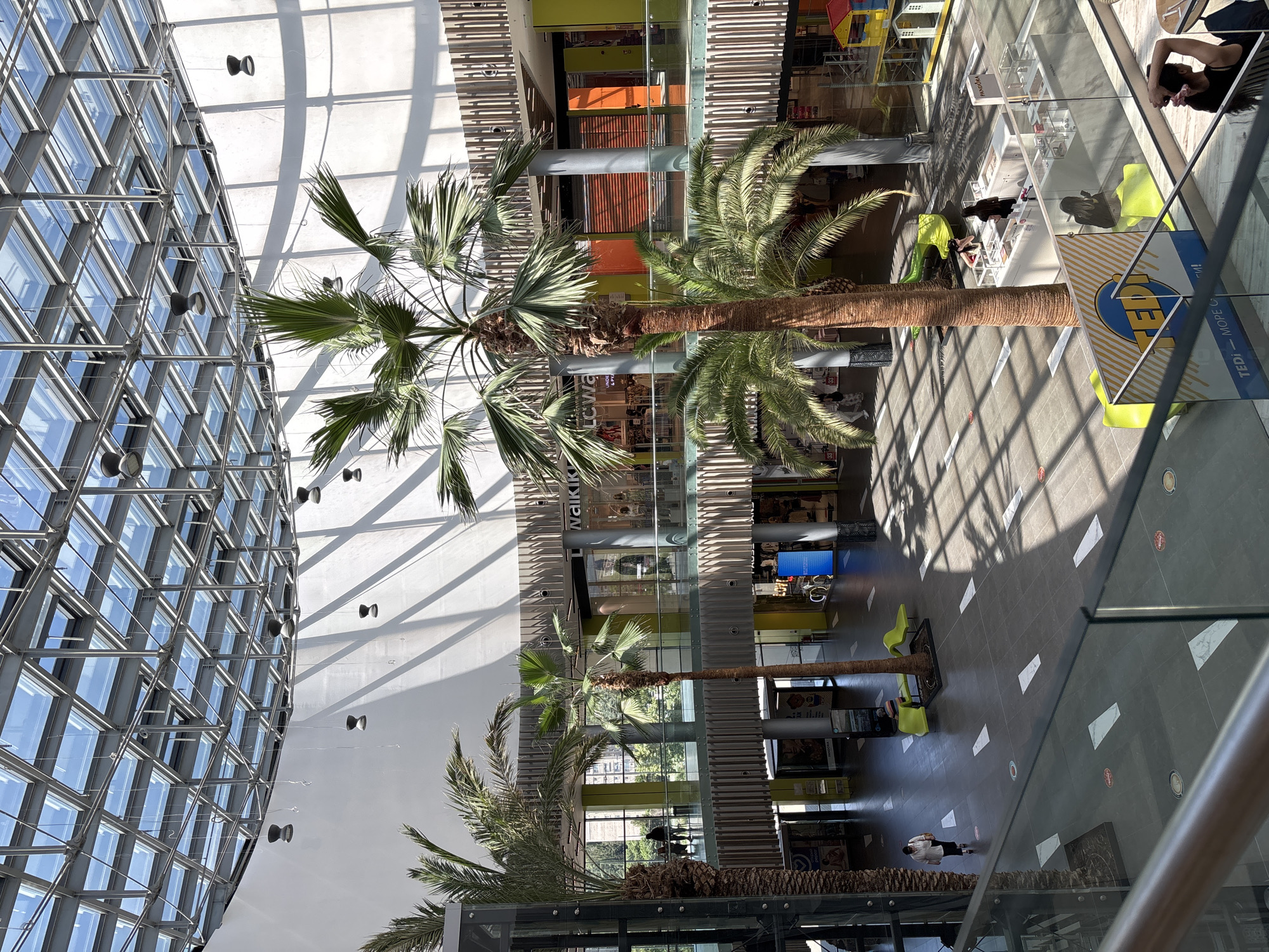 The image depicts the interior of a modern shopping mall with a high, glass-paneled ceiling that allows natural light to flood the space. Large palm trees are strategically placed throughout the mall, adding a tropical ambiance. The mall features multiple levels with shops and walkways visible on different floors. Sunlight casts distinct shadows on the floor, creating geometric patterns.
On the ground level, a woman in a white shirt and dark pants walks towards the left side of the frame. Nearby, a man sits on a bright green bench next to a palm tree, looking towards the right. Further to the right, two women are interacting at a counter, possibly a retail display. In the foreground, a woman with dark hair pulled back is seated at a table, looking towards her right.
The shops visible include "Waikiki," "LC Waikiki," and "PANDORA." The overall environment suggests a bright, airy, and contemporary retail space. The presence of social distancing markers on the floor indicates a contemporary setting. This shopping mall is the Mall Galleria in Stara Zagora, Bulgaria.