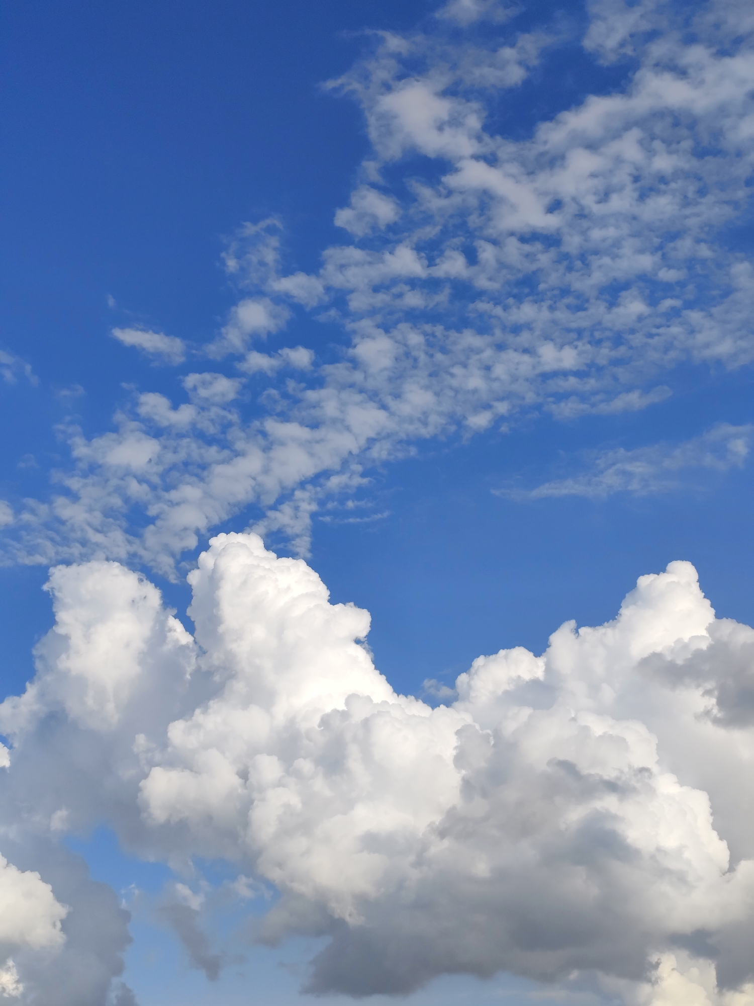 A bright, clear blue sky fills the upper two-thirds of the frame, sparsely dotted with small, wispy white clouds. The lower third of the image is dominated by large, fluffy cumulus clouds, which are a bright white on top and transition to a darker grey towards their bases, suggesting depth and volume. The overall scene is a natural outdoor environment. There are no people or man-made objects visible in the image, and no specific location within Рощин ауылдық округі, Kazakhstan, can be identified.