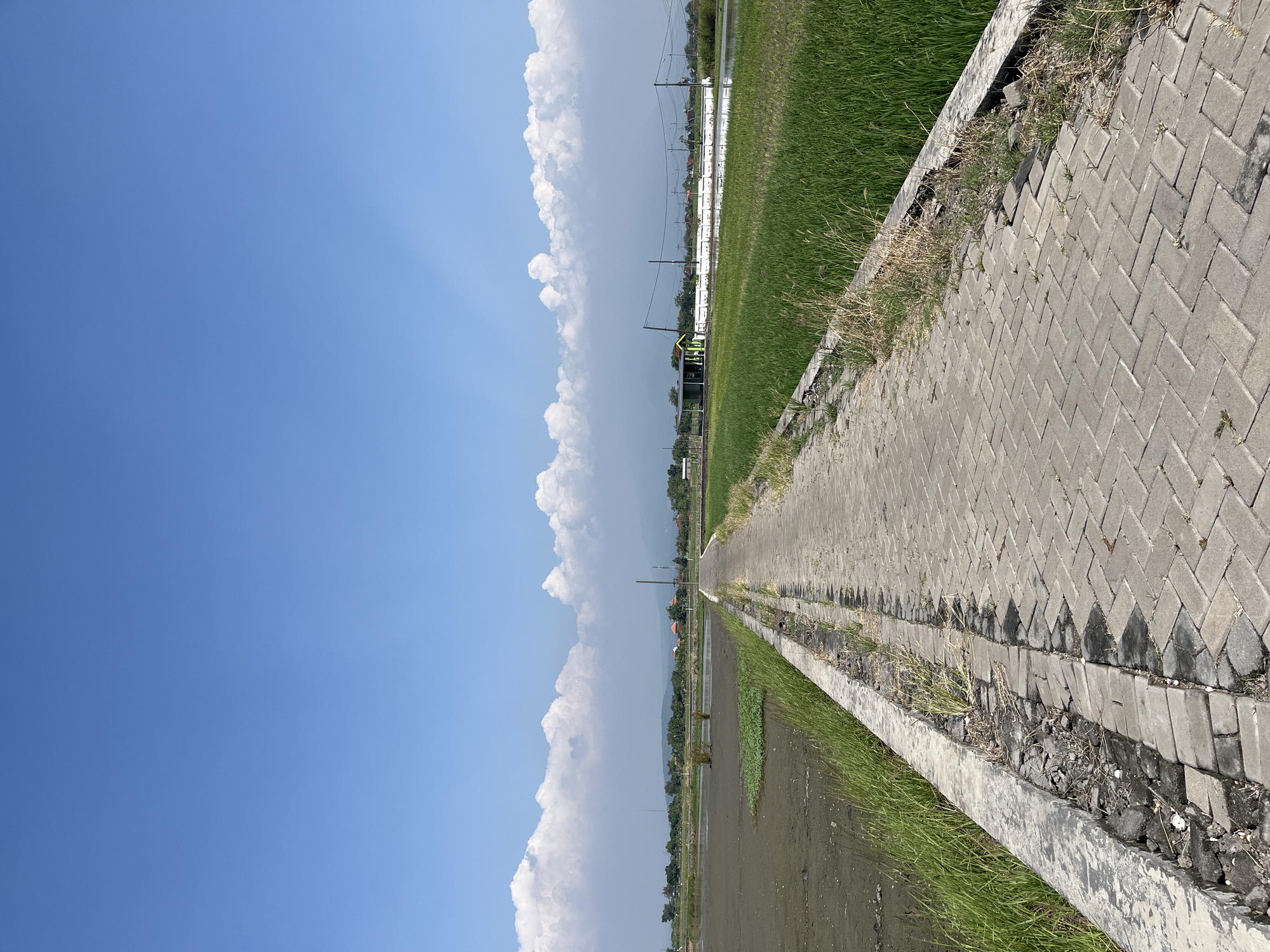 The image depicts a paved pathway in the city of Pesawahan, Indonesia, extending into the distance. The pathway is bordered on the left by a flooded agricultural field, which appears to be a rice paddy, with patches of green vegetation. On the right side of the pathway, a lush green rice field stretches outwards. In the background, there are some buildings, including a small structure with a green roof, and a series of utility poles with wires. Beyond that, a line of trees and hills can be seen against a bright blue sky filled with scattered white clouds. The pathway itself is constructed from rectangular gray pavers laid in a herringbone pattern, with some sections showing signs of wear and tear, including displaced bricks and debris along the edges. The overall scene suggests a rural or semi-rural environment, characteristic of agricultural areas in Indonesia.