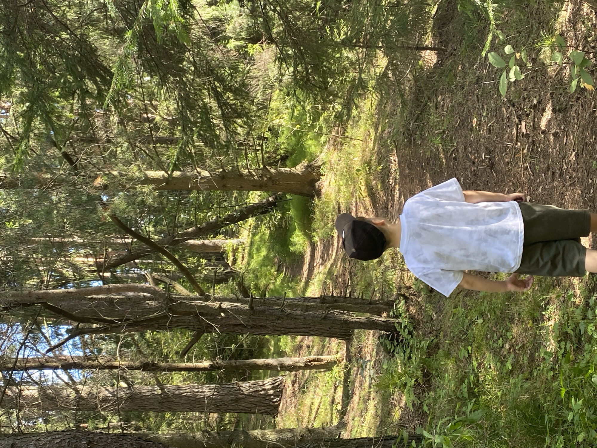 The image depicts a young person, seen from behind, walking on a dirt path through a sun-dappled forest. The person is wearing a white t-shirt with a tie-dye pattern and dark green shorts, and a dark baseball cap. The forest consists of tall, slender trees with rough bark, likely pines, and dense green foliage. Sunlight filters through the canopy, illuminating patches of the forest floor, which is covered in dirt, pine needles, and green undergrowth. The path winds upwards into the trees, suggesting a trail in a natural setting. The scene appears to be located in the city of Фоки, Russia, within a forest area.