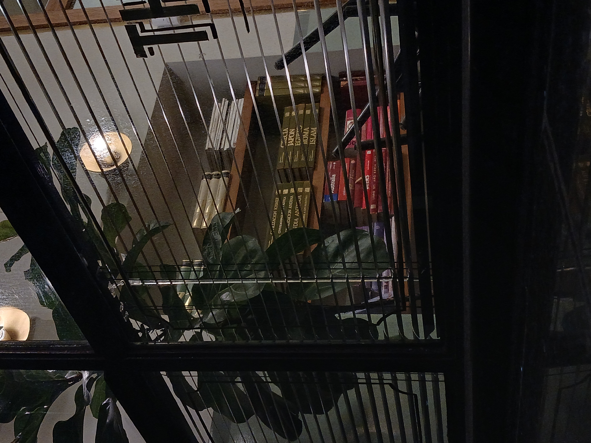 This vertical photograph captures an interior scene, likely a library or study, viewed through a series of dark, slender vertical and diagonal bars, which appear to be part of a window or a decorative grille. These bars create a dominant linear pattern across the foreground.
In the background, a wooden bookshelf filled with numerous books is visible. Among the green-bound books, titles such as "JAPON," "EGIPTO," "ROMA," and "ISLAM" are legible, alongside "CIVILIZACION AZTECA," "CIVILIZACION ANDINA," "INDIA ANT" (likely "India Antigua"), and "CIVILIZACION KHMER." On red-bound books, "australia" and "LIBRO DEL AÑO BARSA" (suggesting "Barcelona") can be read.
A warm, glowing light fixture, possibly a wall sconce, is visible in the upper left quadrant, partially obscured by the bars and dark green foliage of an indoor plant. Additional plants are seen in the lower left and central parts of the frame. The dim lighting suggests it is either nighttime or a low-light indoor setting. There are no people visible, and no specific activity is taking place. The visible text on the books, predominantly in Spanish and covering topics like world civilizations and geography, aligns with the provided location context of Buenos Aires, Argentina. The scene conveys a quiet, intellectual ambiance.