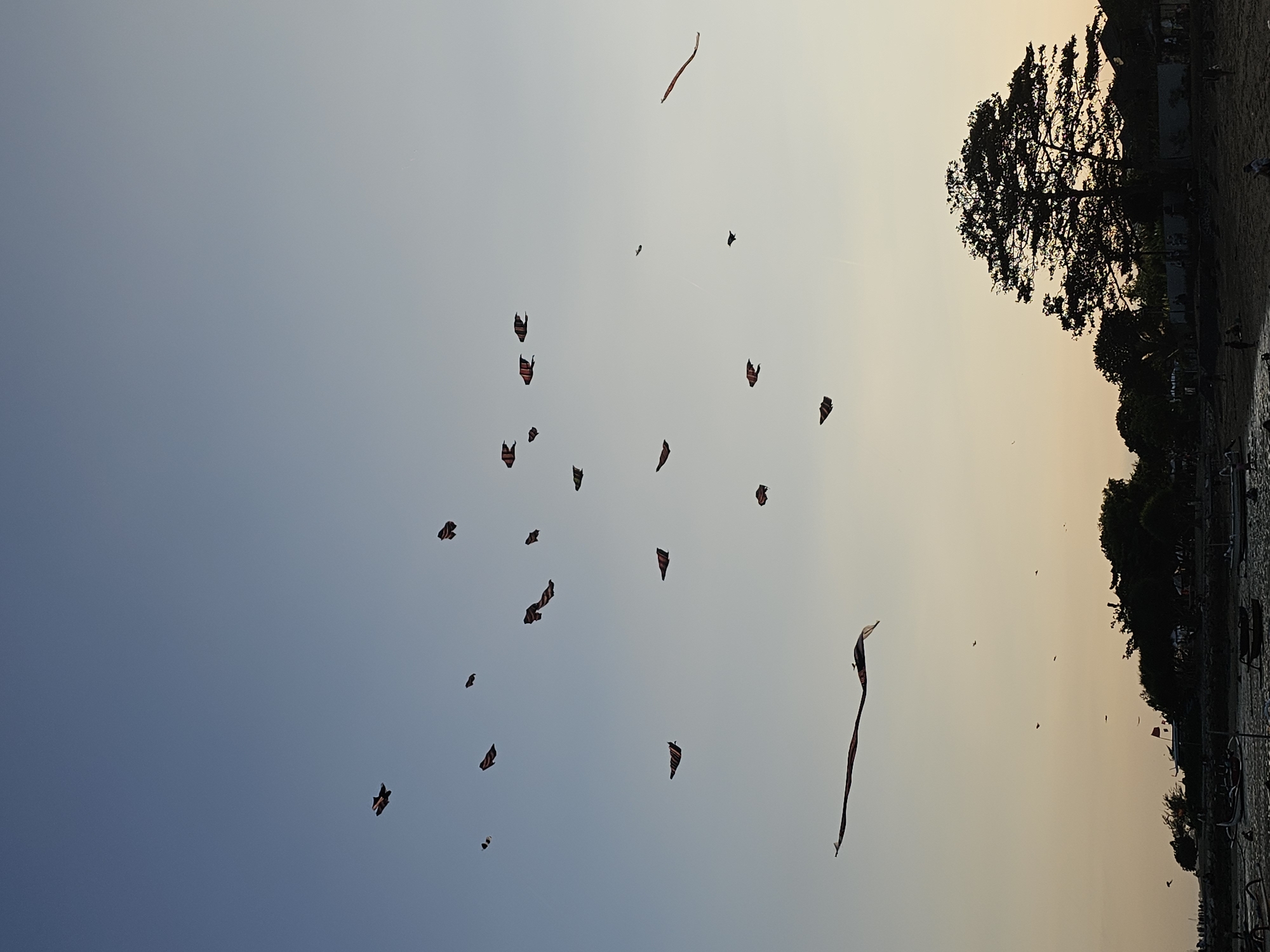 The image depicts a dusky sky over a beach in Denpasar, Indonesia. Numerous kites, some shaped like fish and others like ribbons, are visible in the sky, creating a festive atmosphere. The beach is dotted with silhouetted figures of people and vegetation, including a large tree. Boats are anchored in the shallow water. The overall scene suggests a recreational gathering or festival.