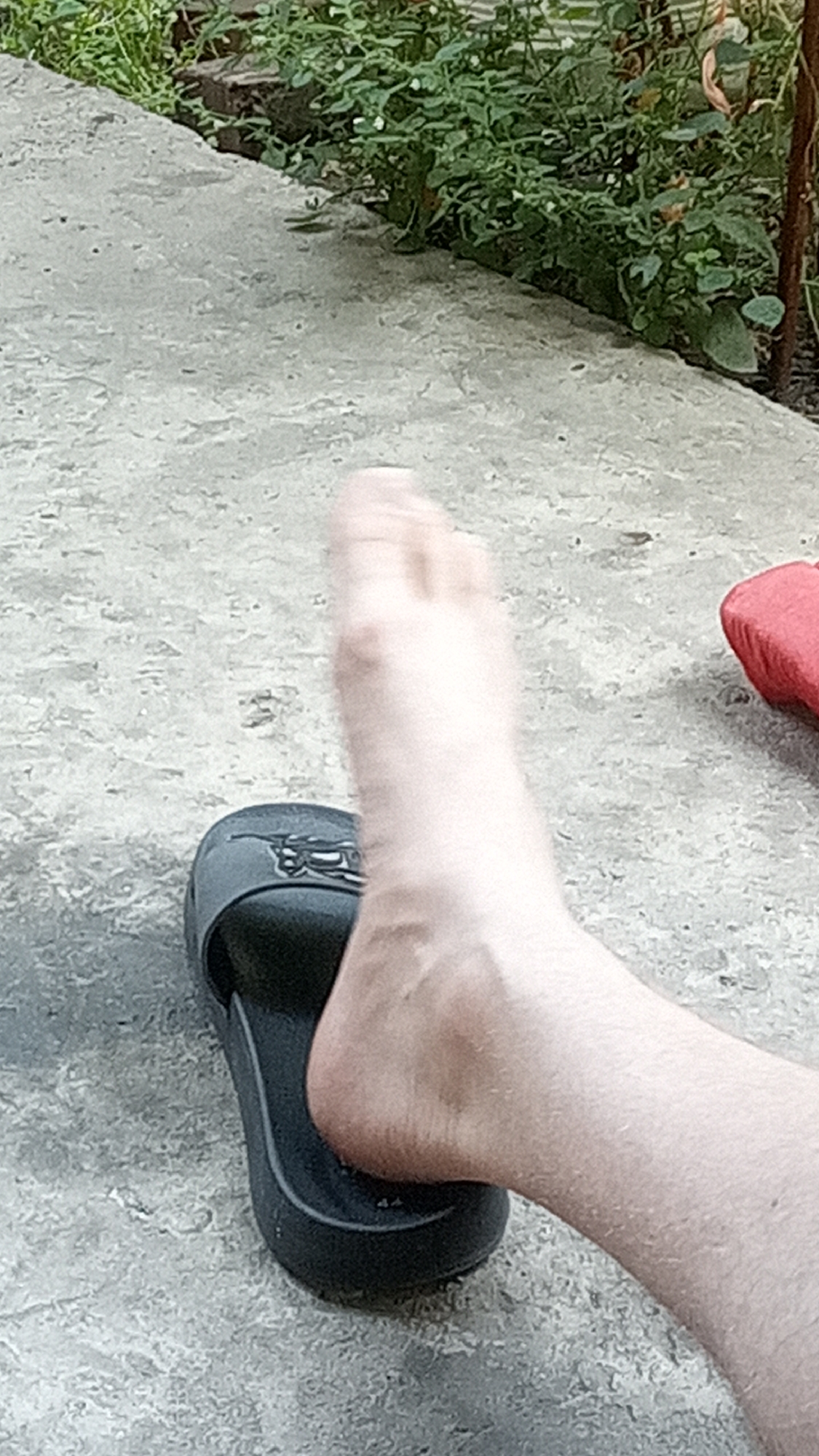 A person's bare foot, partially obscured by a black sandal, rests on a concrete surface. The foot is angled upwards, with toes pointing away from the camera. In the background, lush green foliage grows along a stone border. To the right, a red object, possibly another sandal, is visible. The setting appears to be outdoors, with a naturalistic, possibly urban fringe environment.
